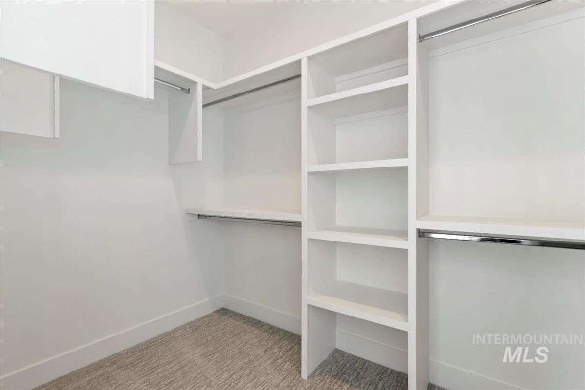 Walk in closet with light colored carpet