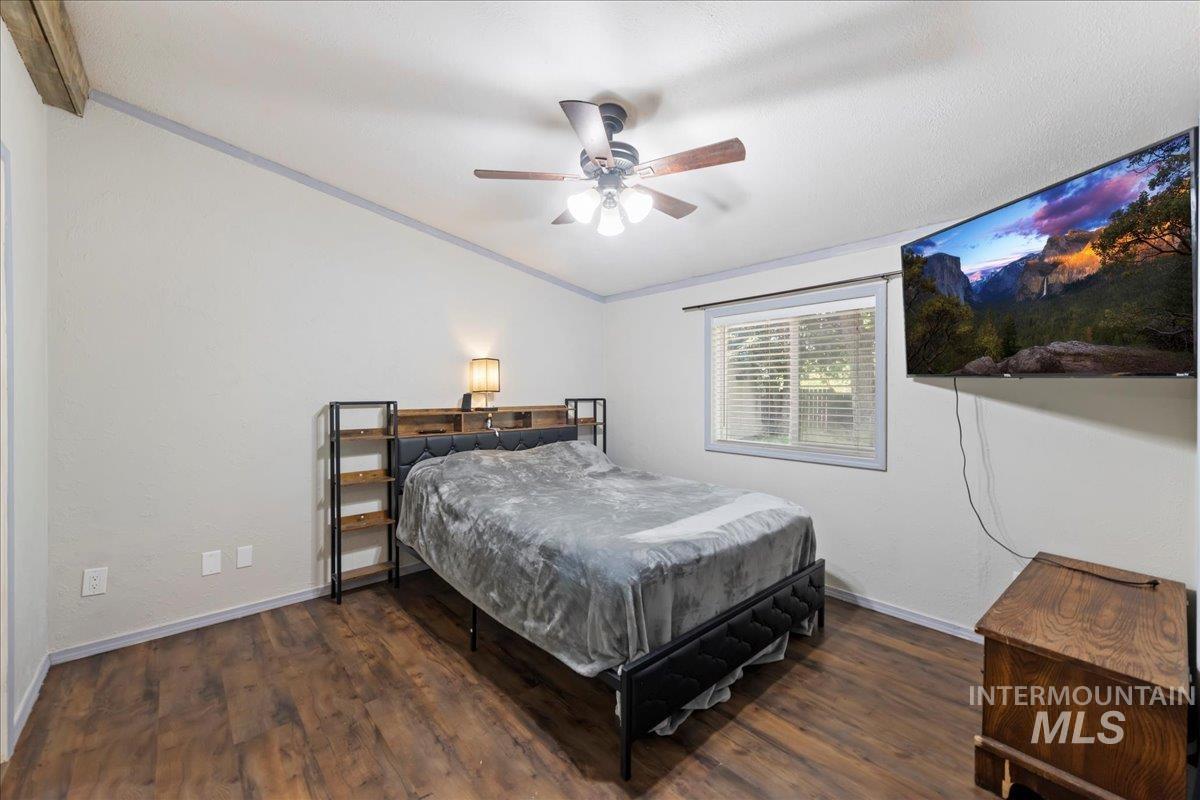Bedroom featuring dark wood-type flooring, ceiling fan, and crown molding
