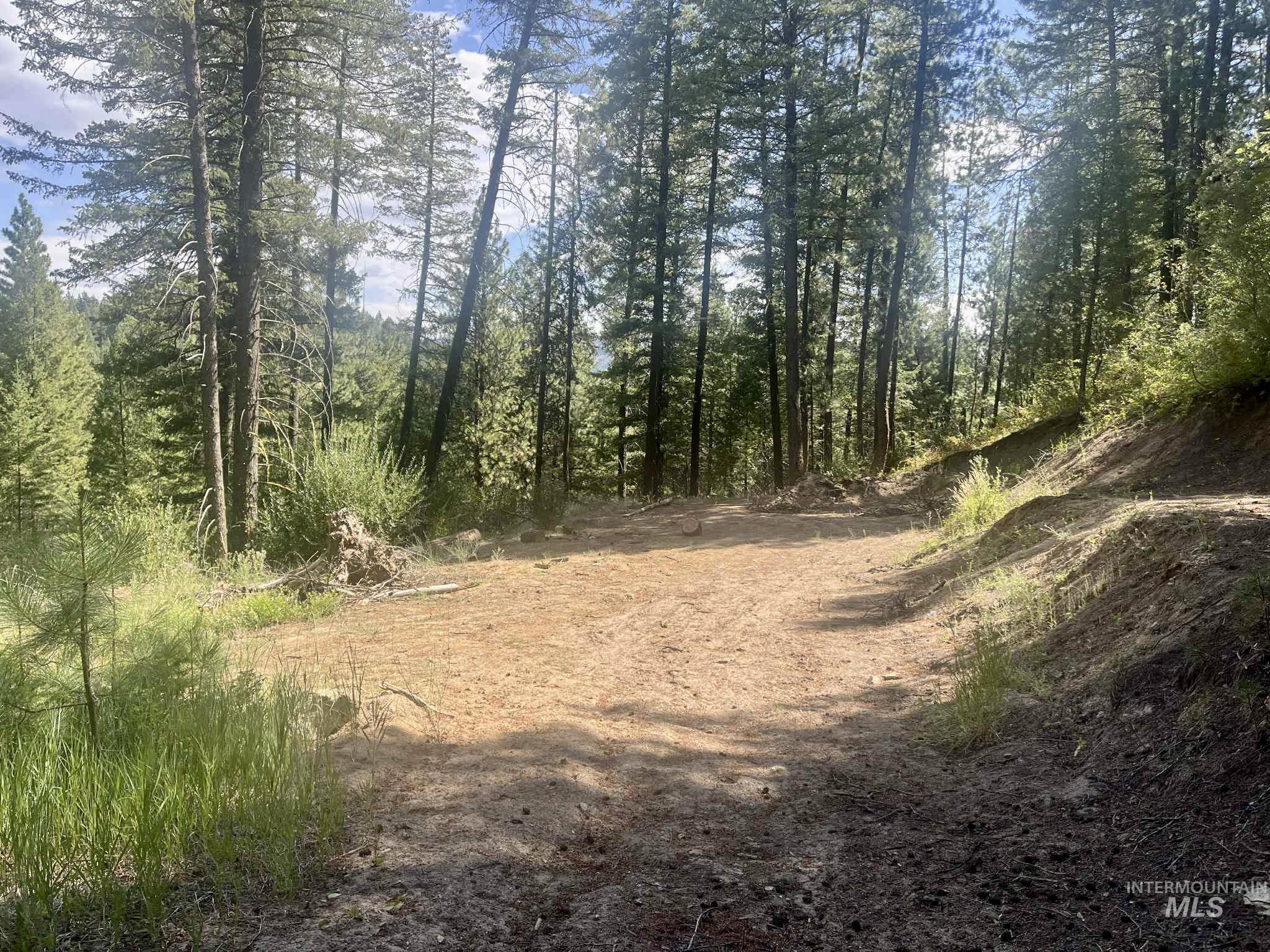 View of woods