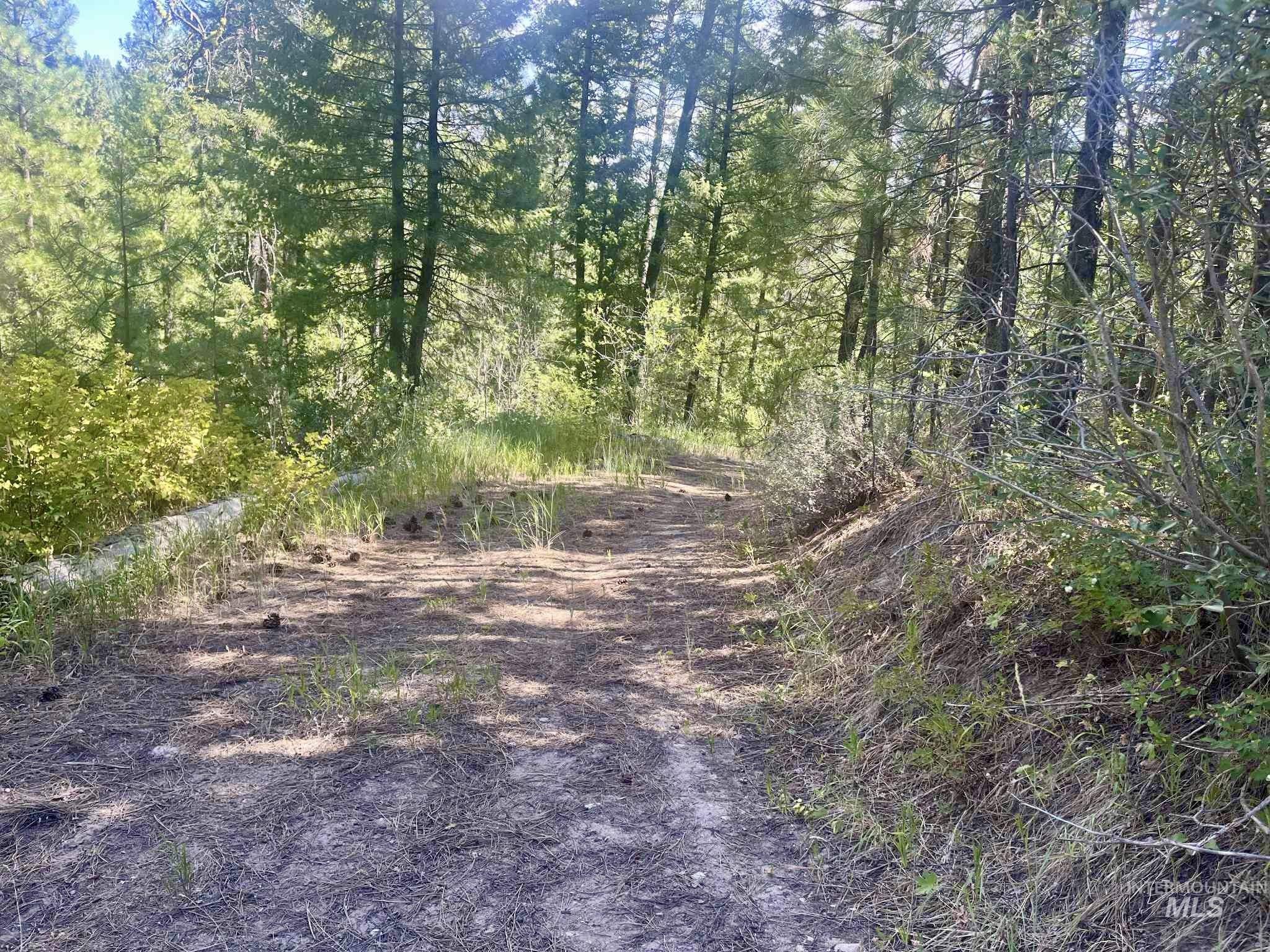 View of road featuring a view of trees