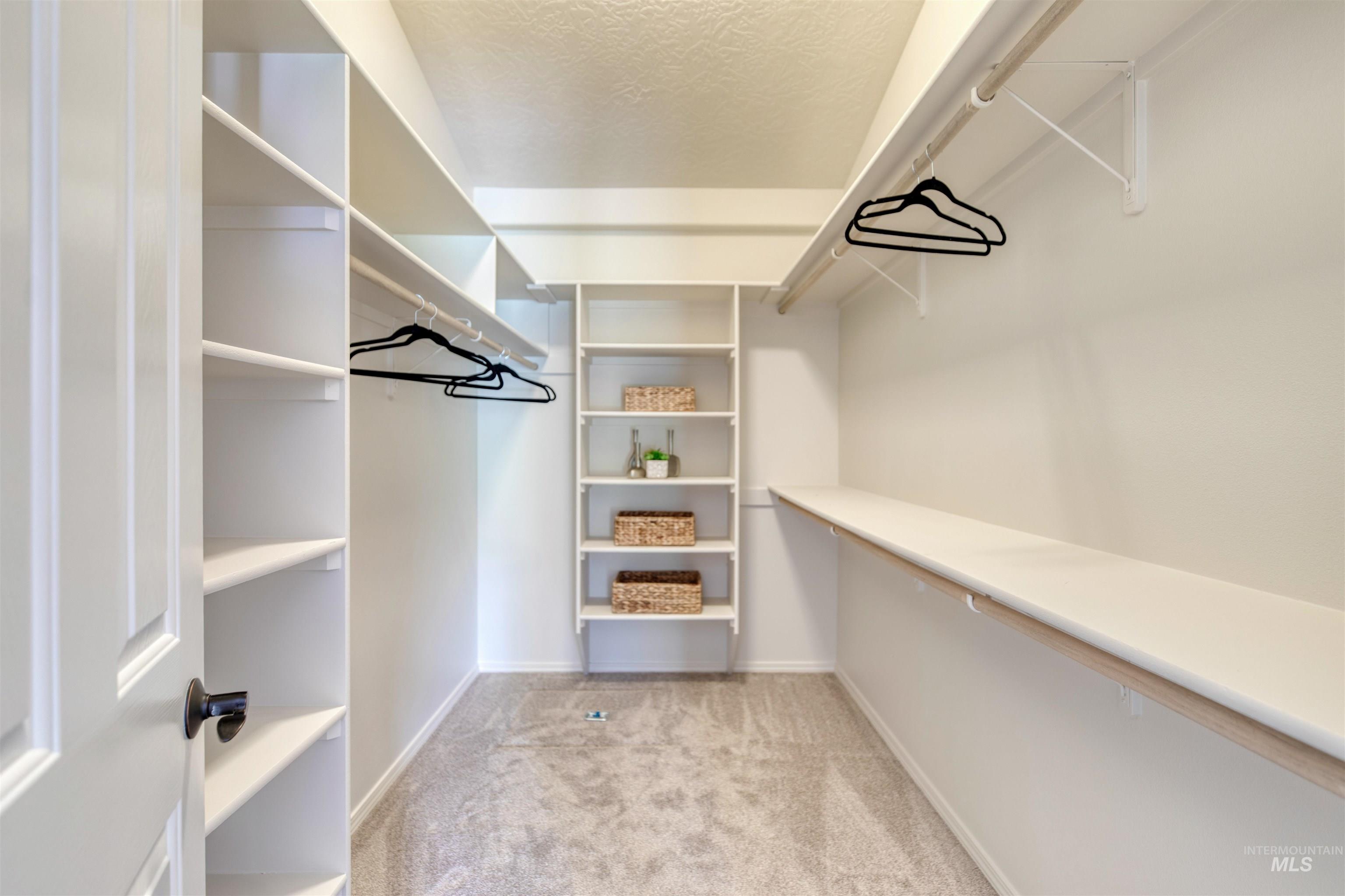 Spacious closet featuring light colored carpet