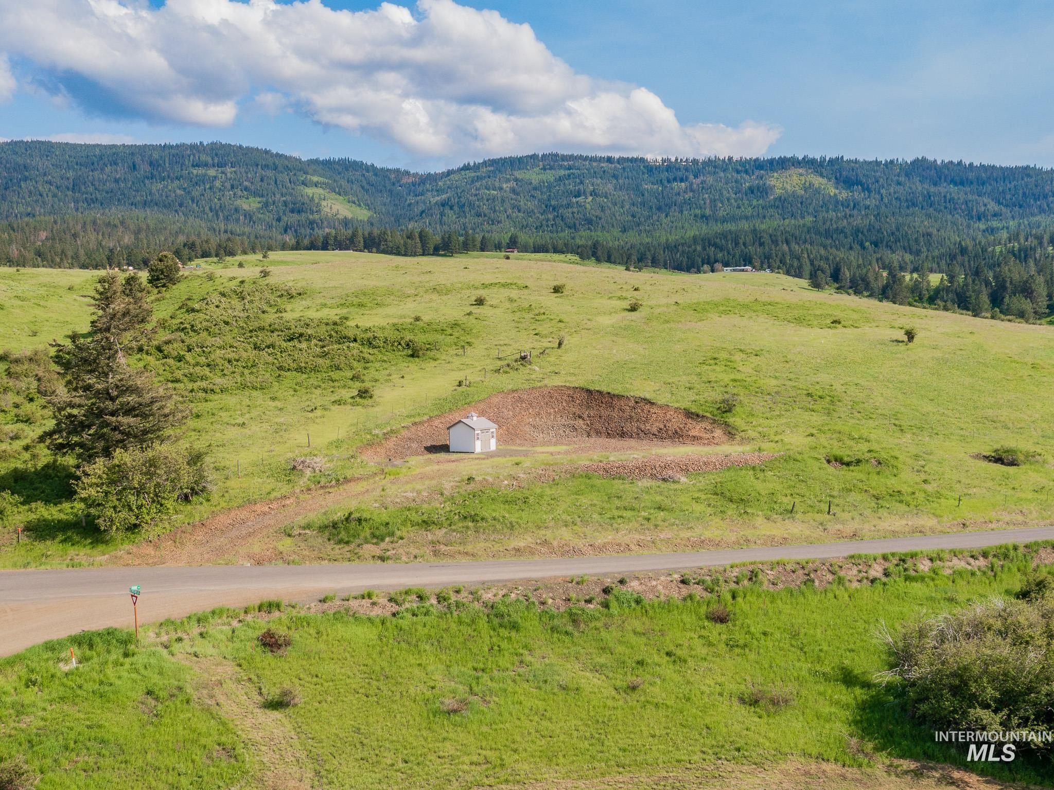 2937 Old White Bird Hill Rd., Grangeville, Idaho 83530, Land For Sale, Price $136,000, 98961387