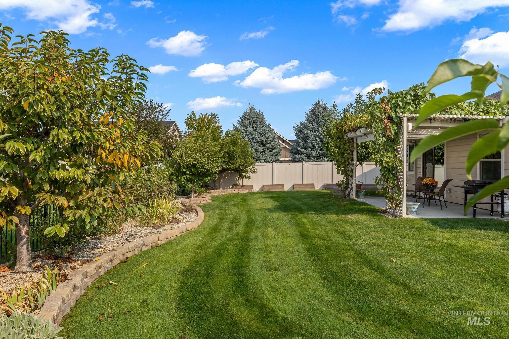 View of yard with a patio area