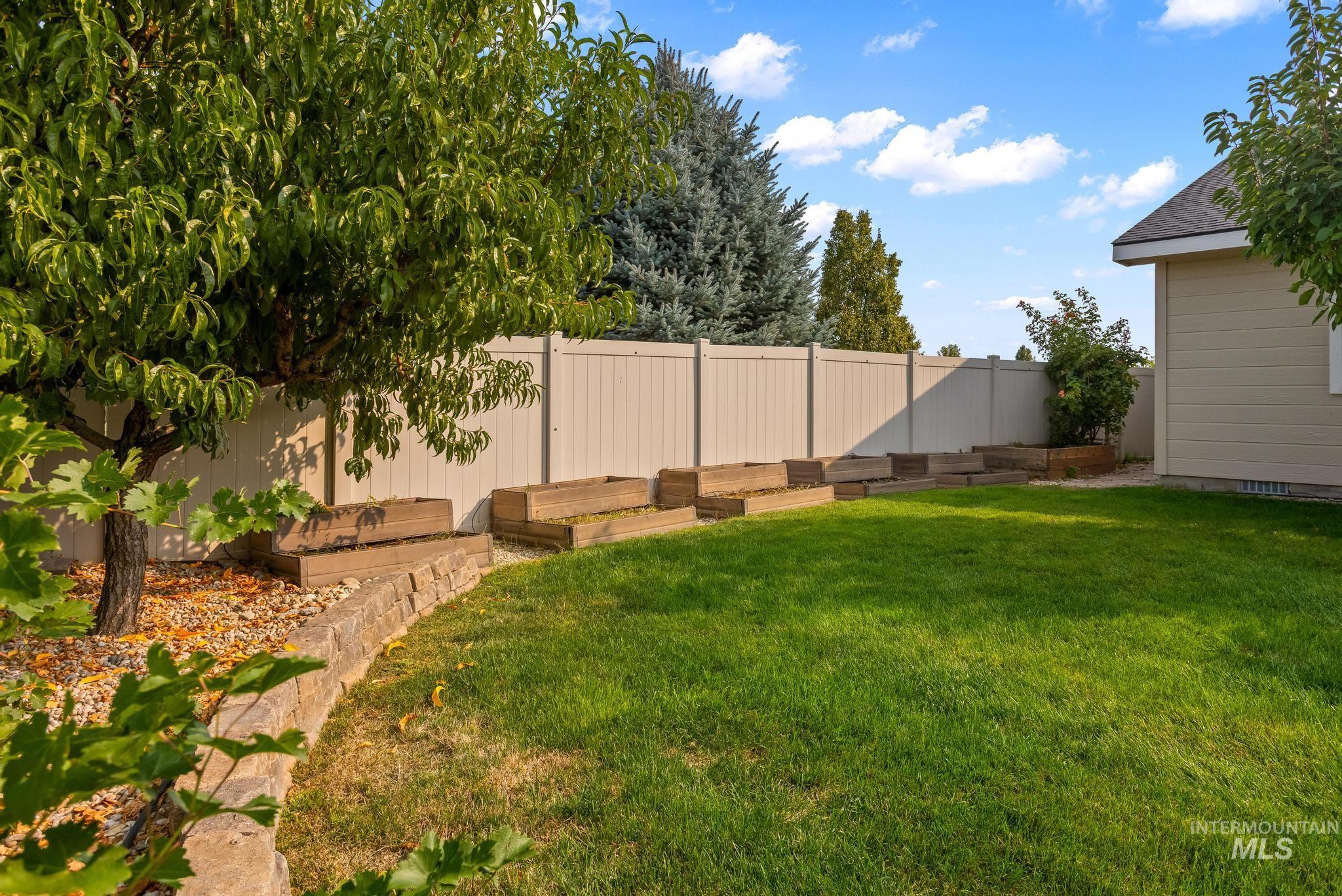 Fenced backyard with a vegetable garden