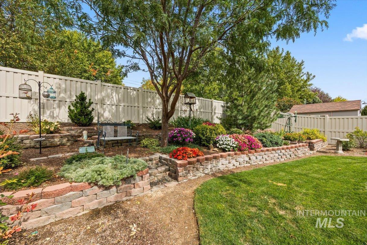 View of fenced backyard