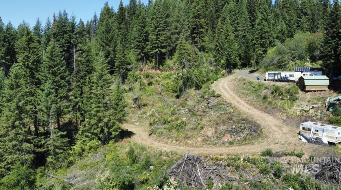 Drone / aerial view of a forest