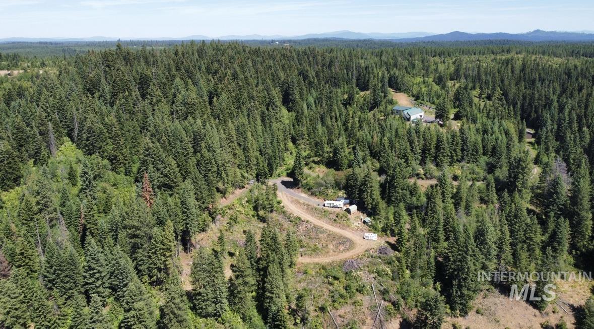 Aerial view of property's location with a forest and mountains