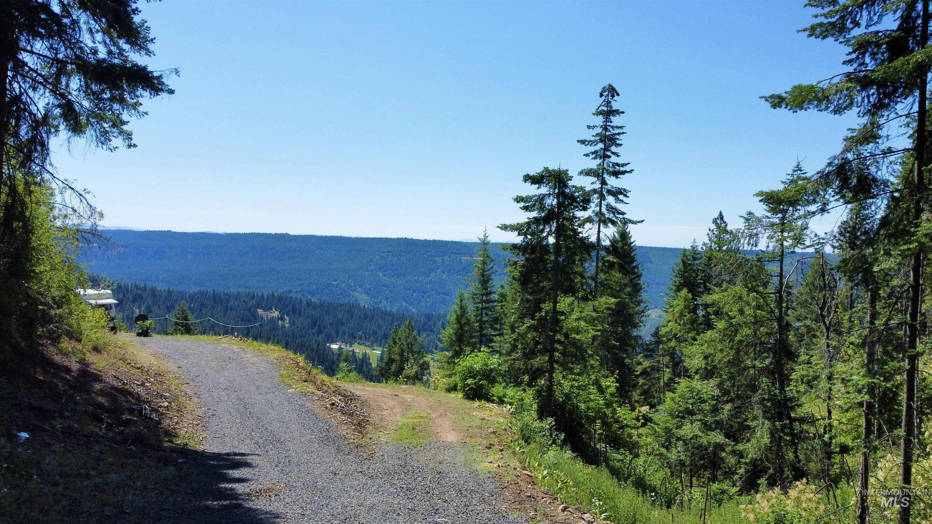 View of mountain backdrop featuring a forest
