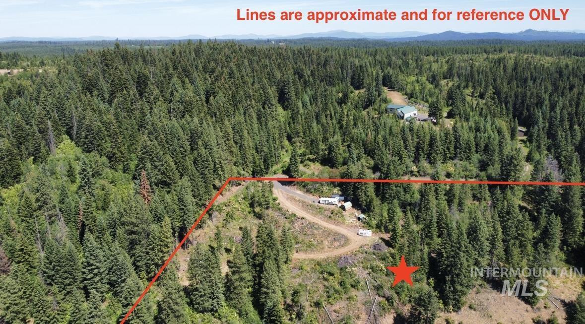 Aerial overview of property's location featuring a forest and property parcel outlined