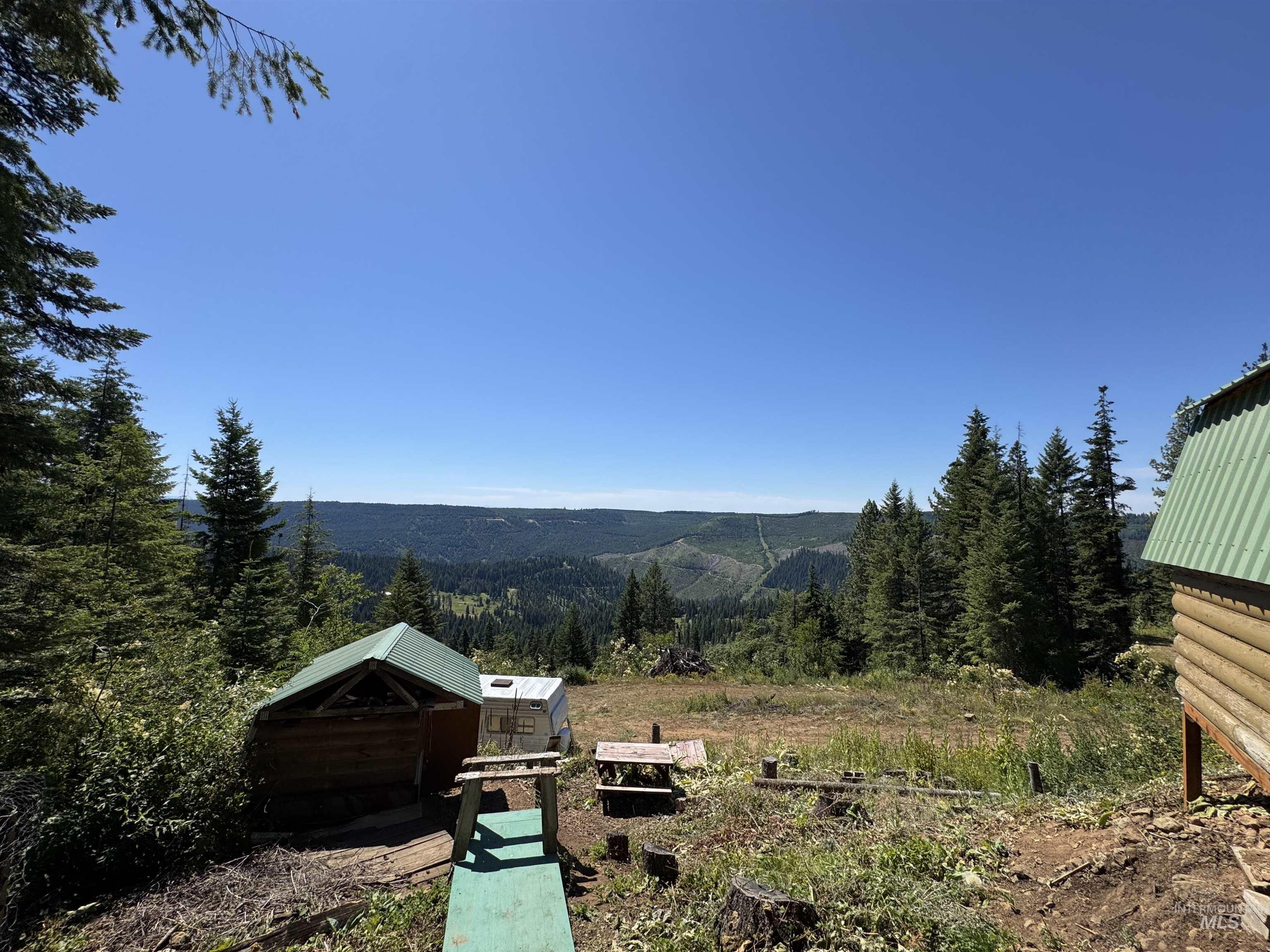 Mountain view featuring a heavily wooded area