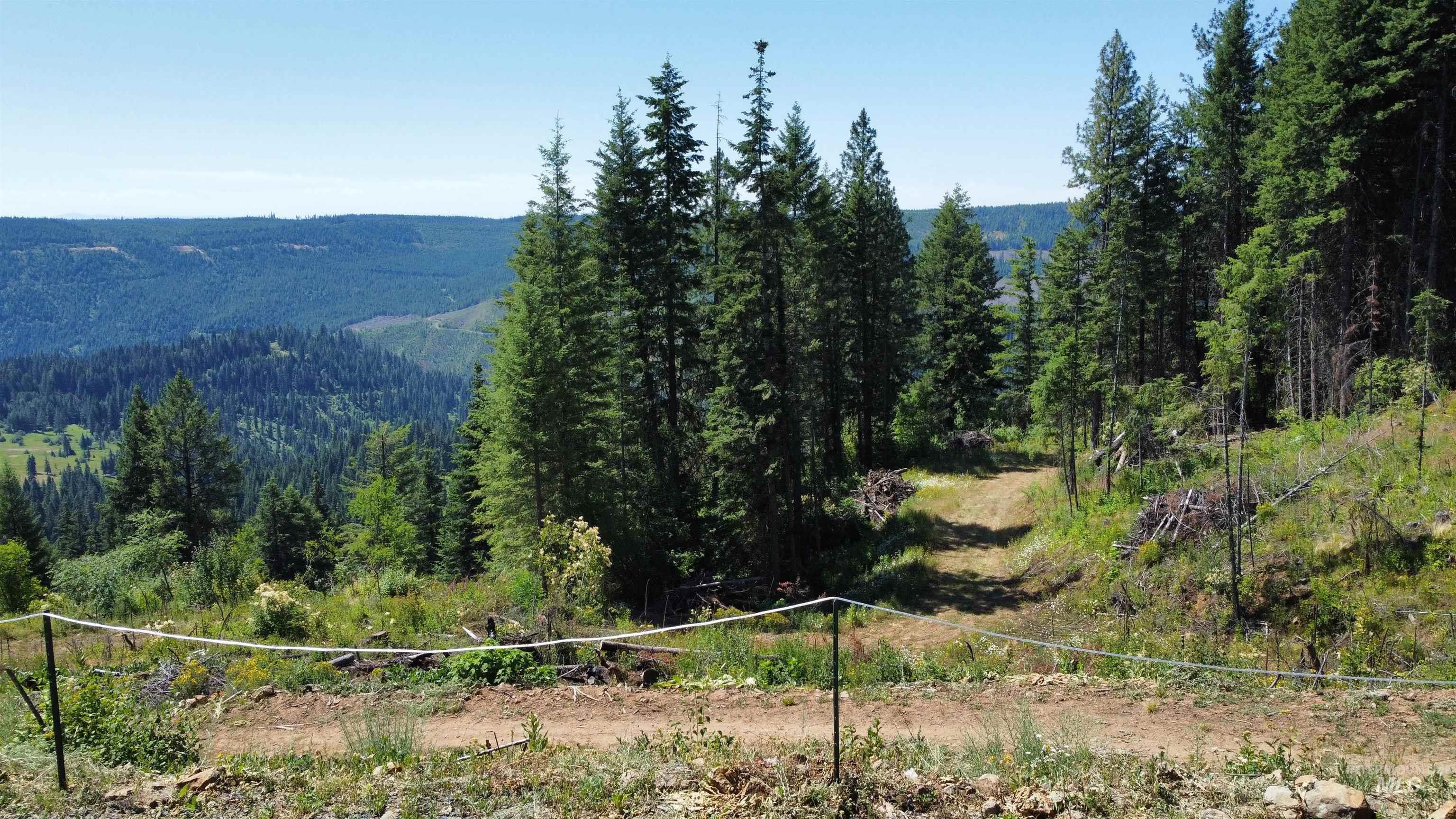 View of mountain backdrop with a forest
