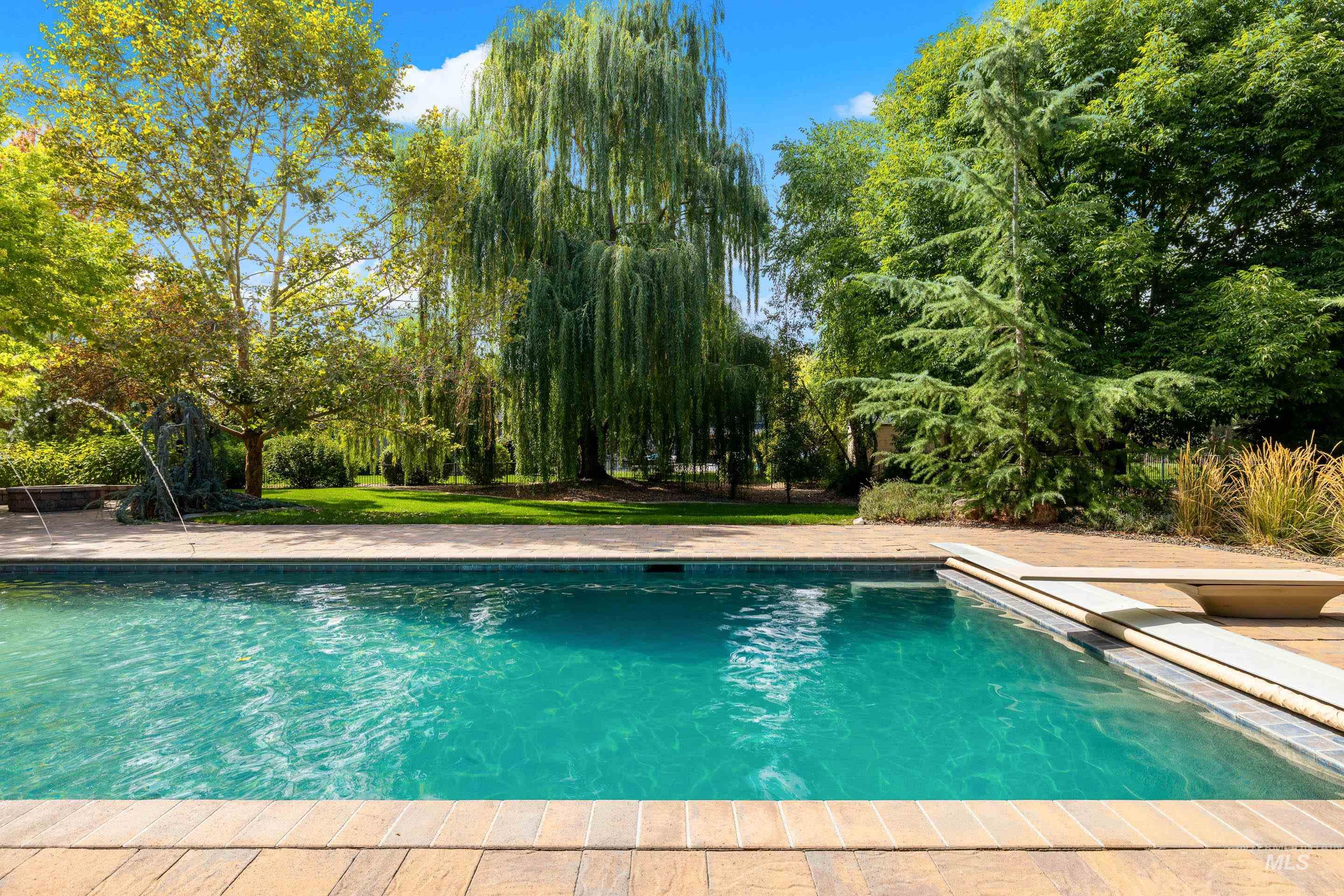 Outdoor pool featuring view of wooded area, a patio area, and a diving board