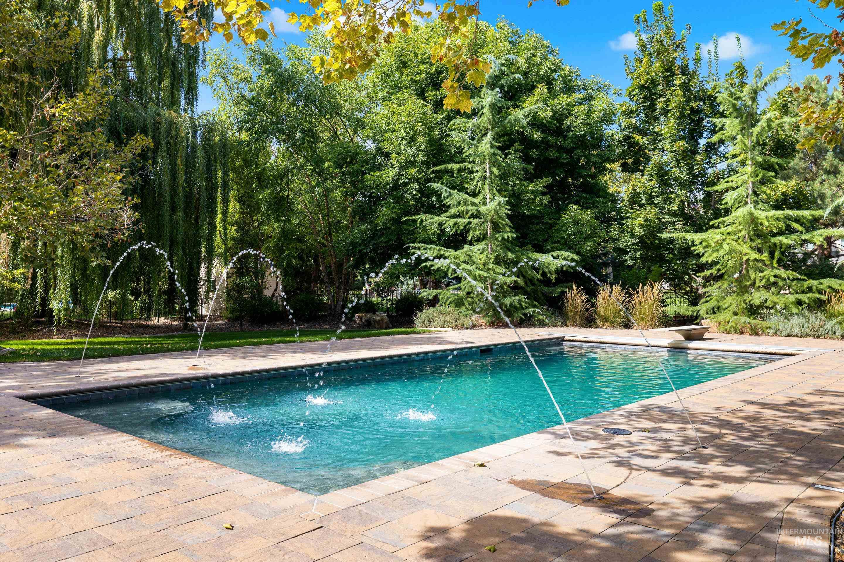 Outdoor pool featuring a patio and a diving board