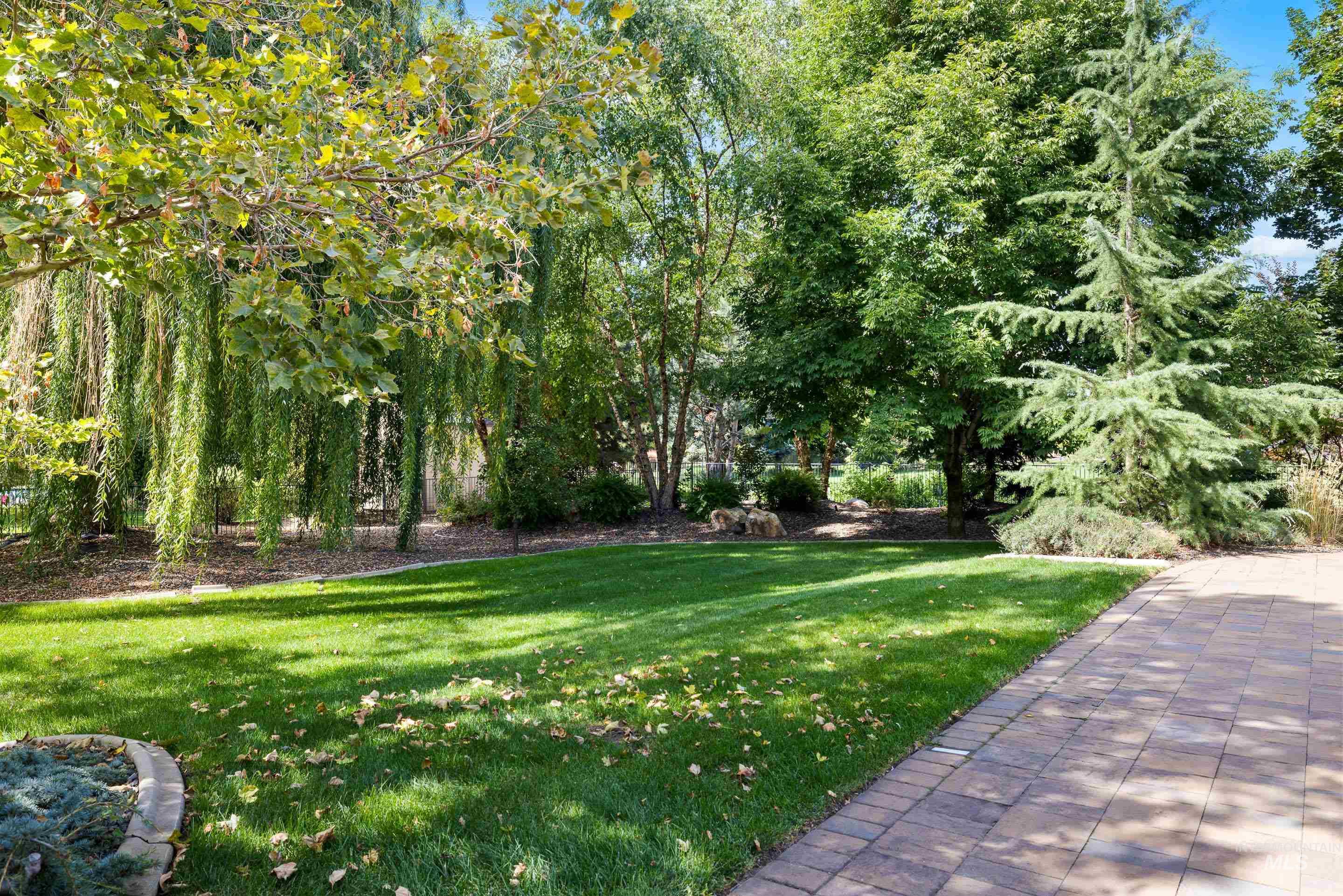 View of grassy yard