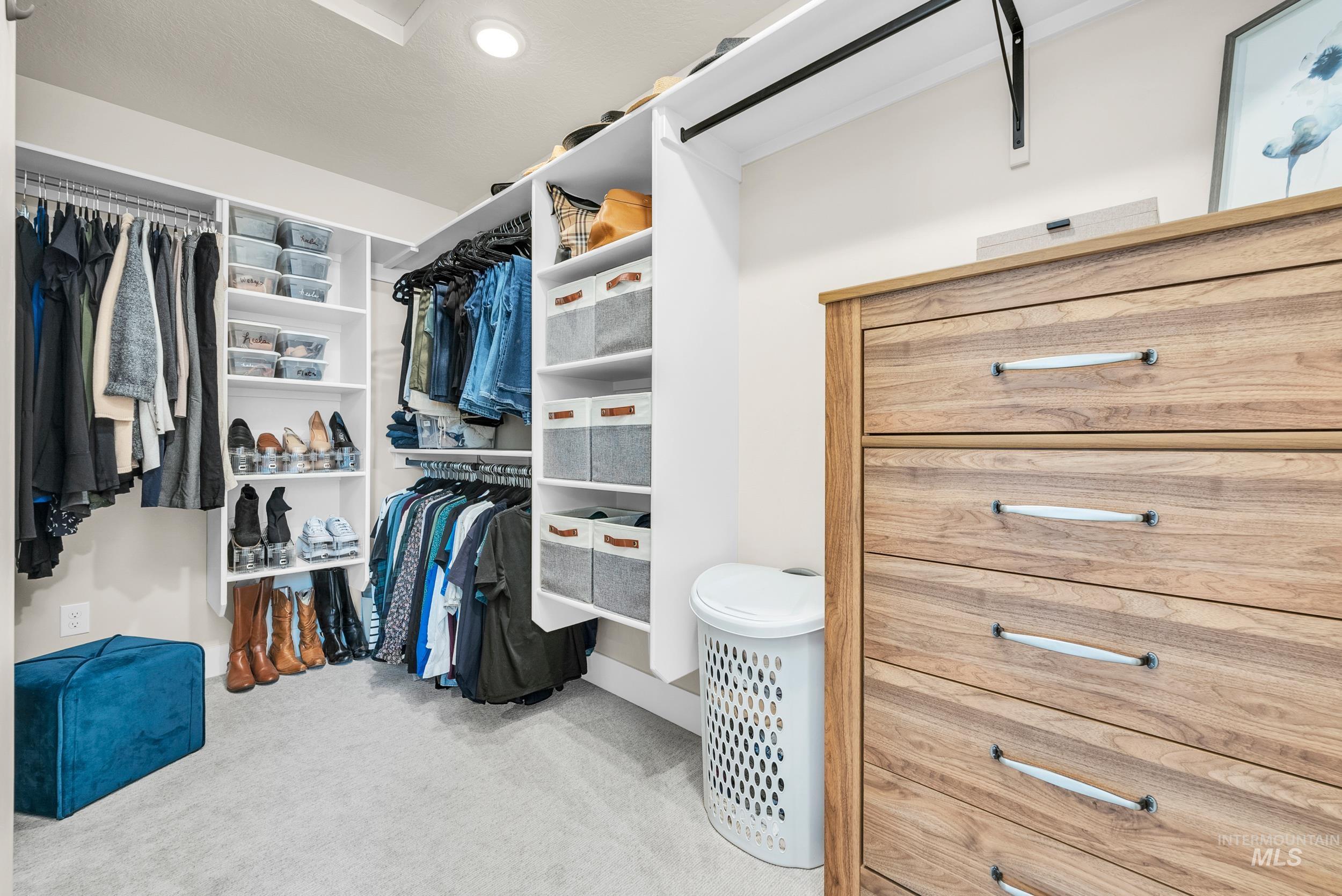 Spacious closet featuring light carpet
