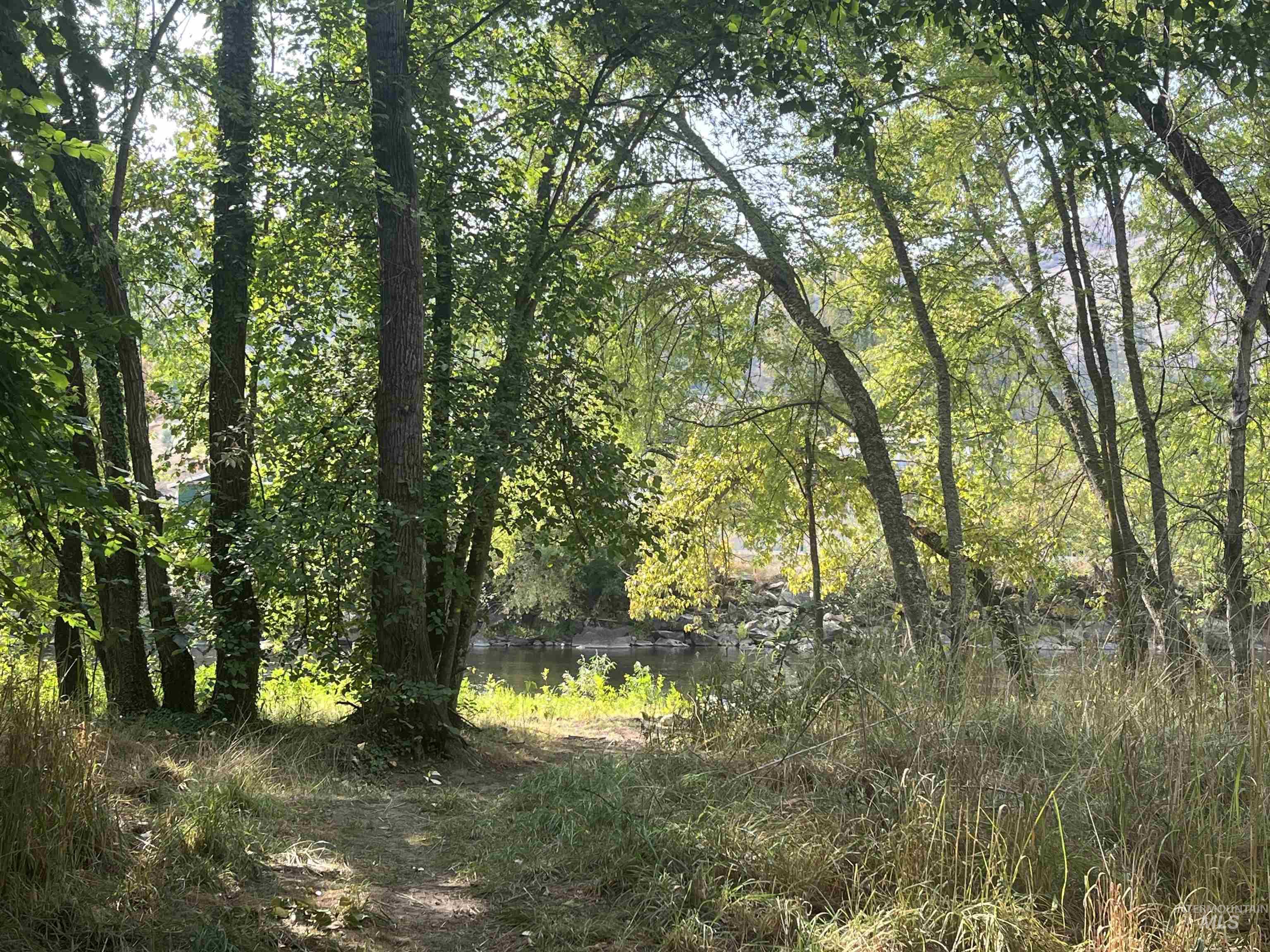 View of nature with a large body of water