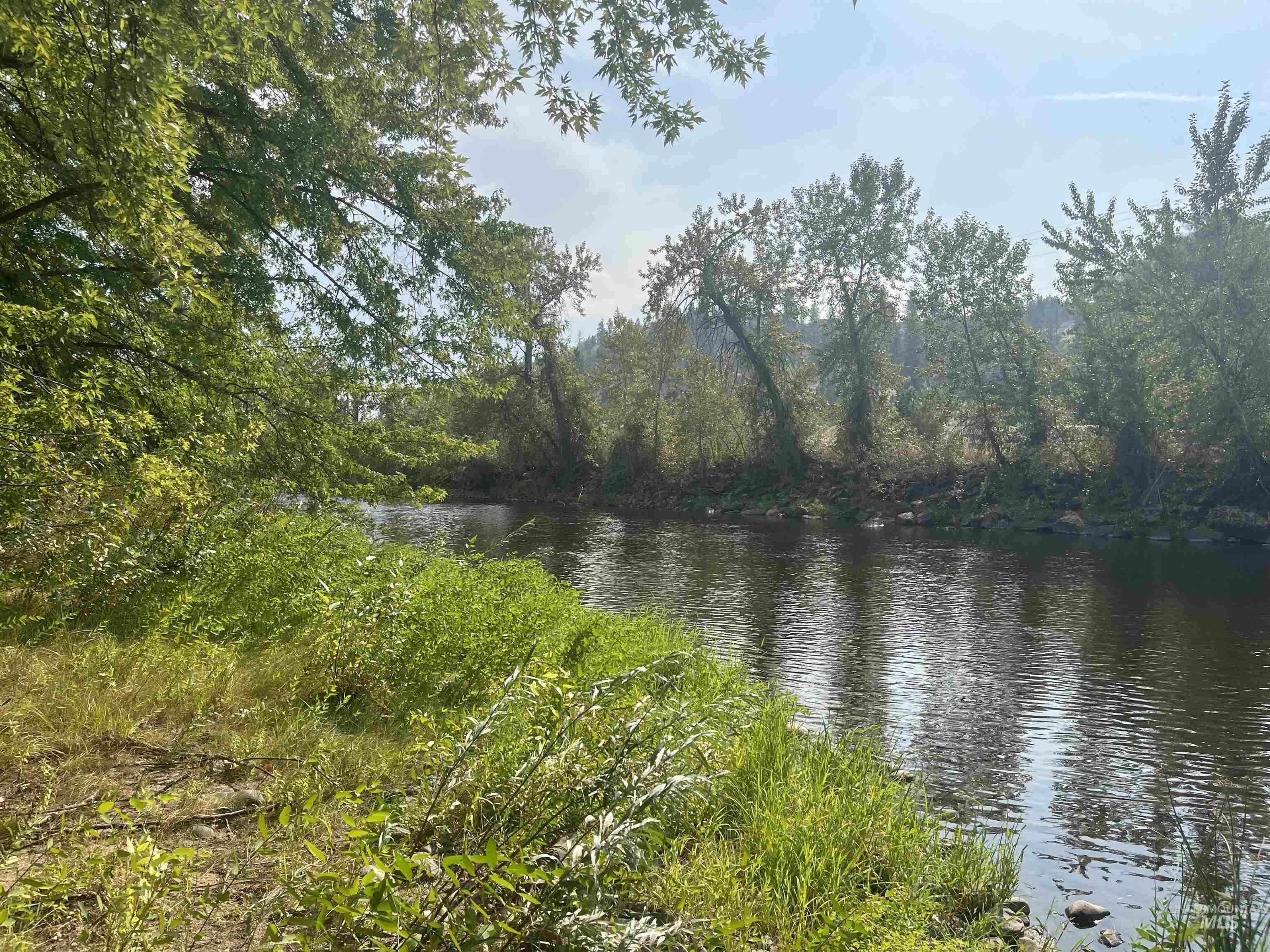 Water view featuring a heavily wooded area