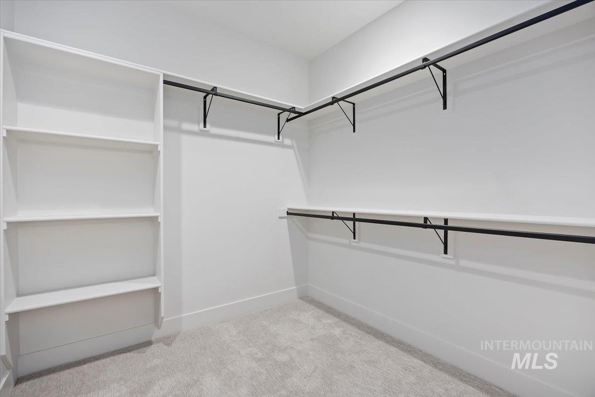 Spacious closet featuring light carpet