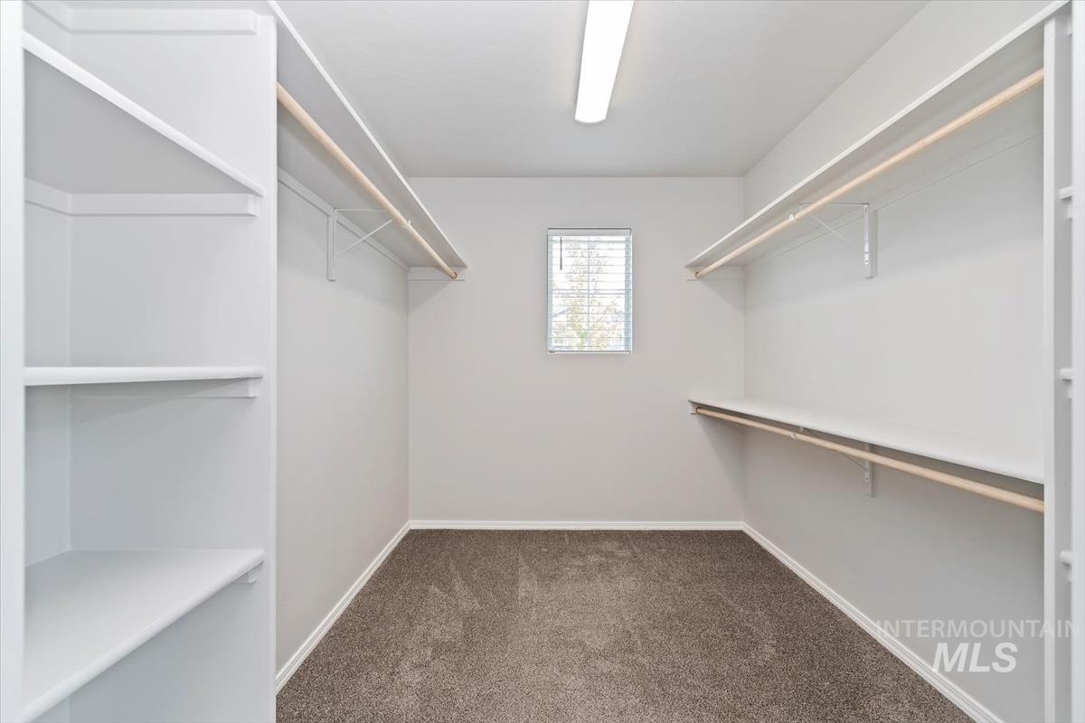 Walk in closet featuring dark carpet