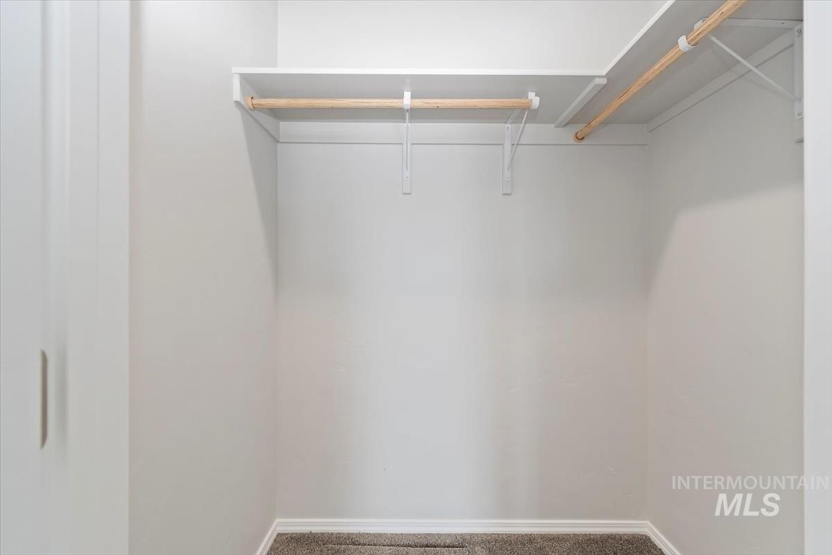 Walk in closet featuring carpet