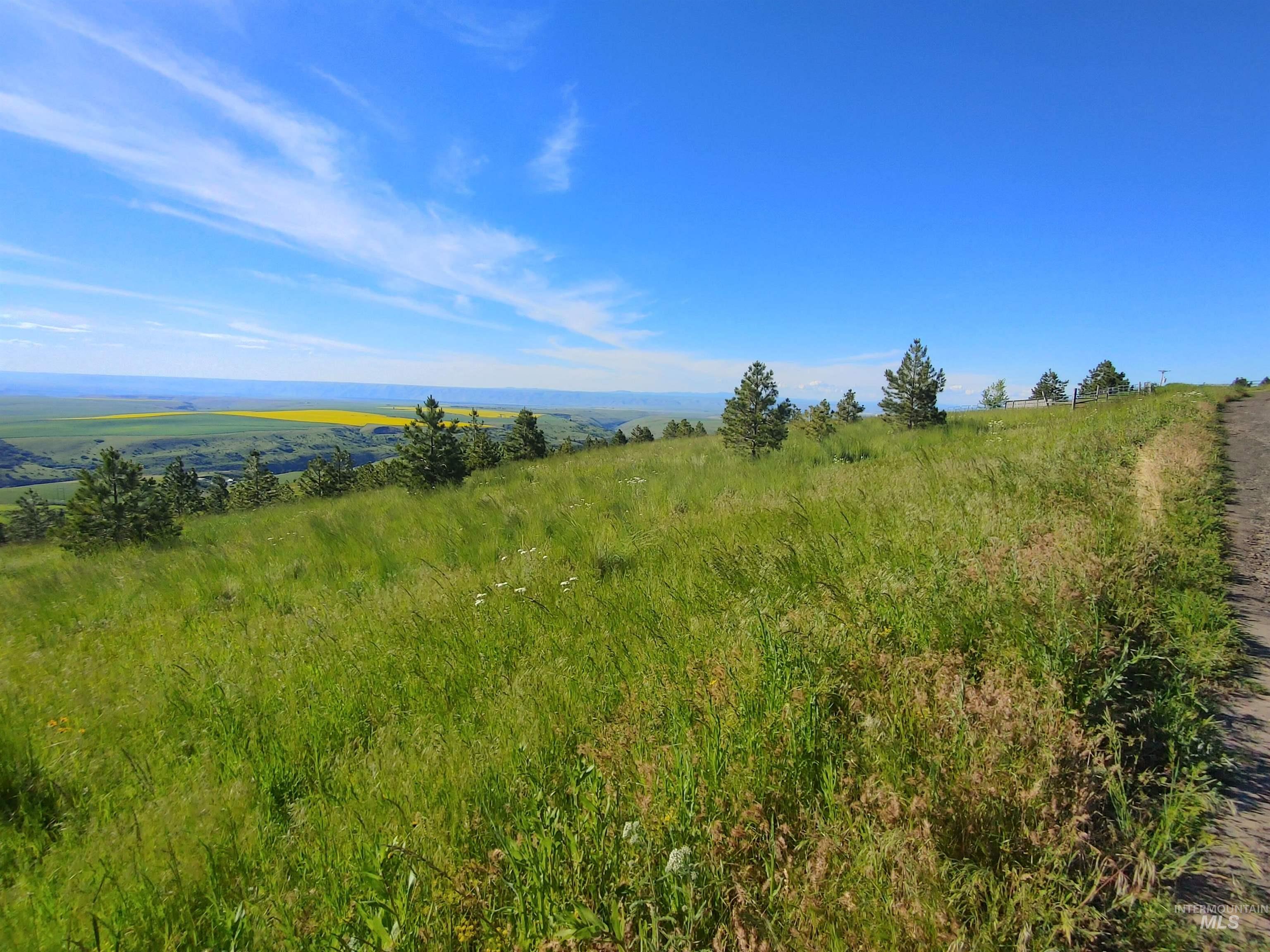 Lot B Forsman Rd, Lewiston, Idaho 83501, Land For Sale, Price $249,700, 98961507