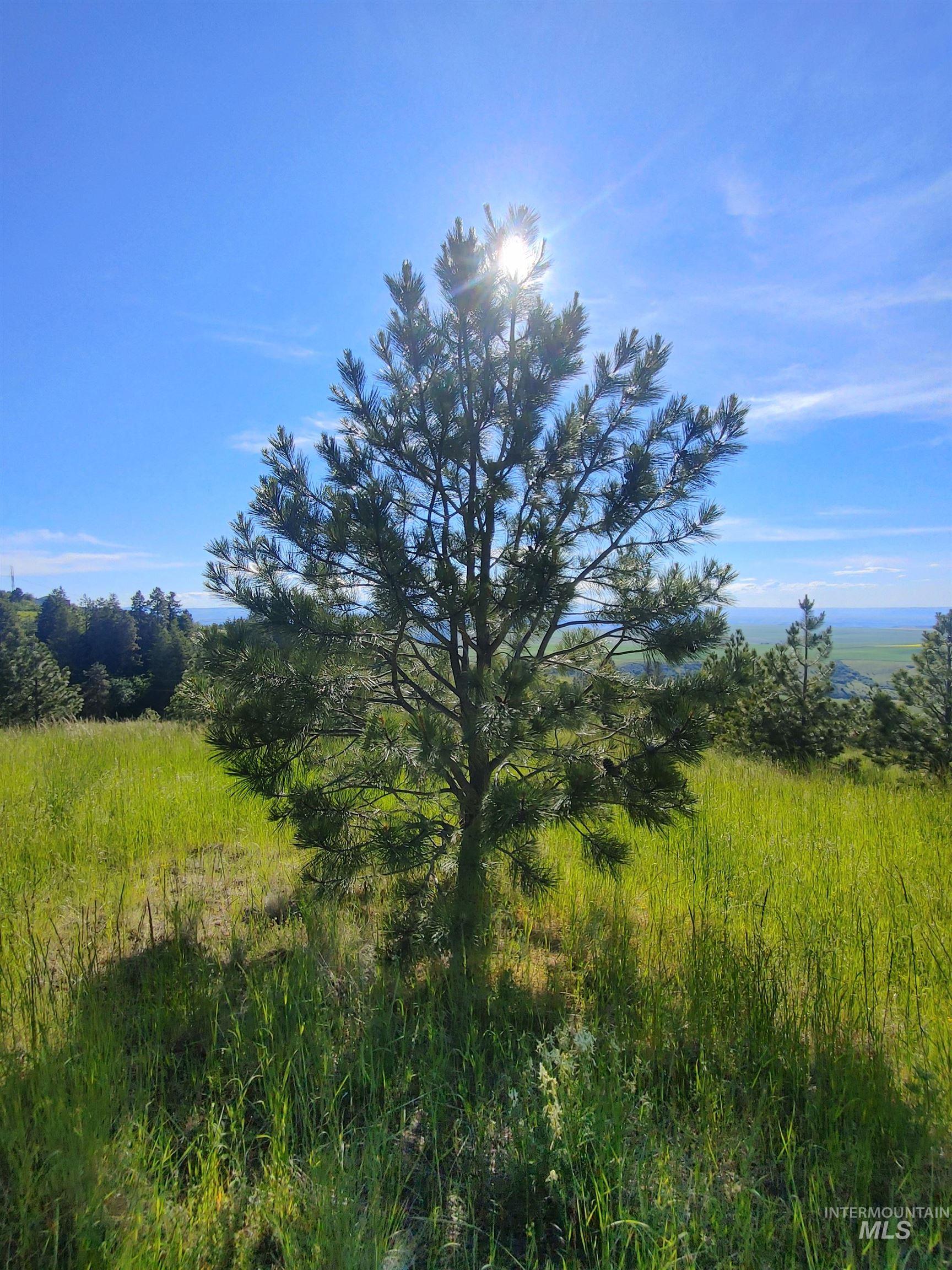 Lot B Forsman Rd, Lewiston, Idaho 83501, Land For Sale, Price $249,700, 98961507