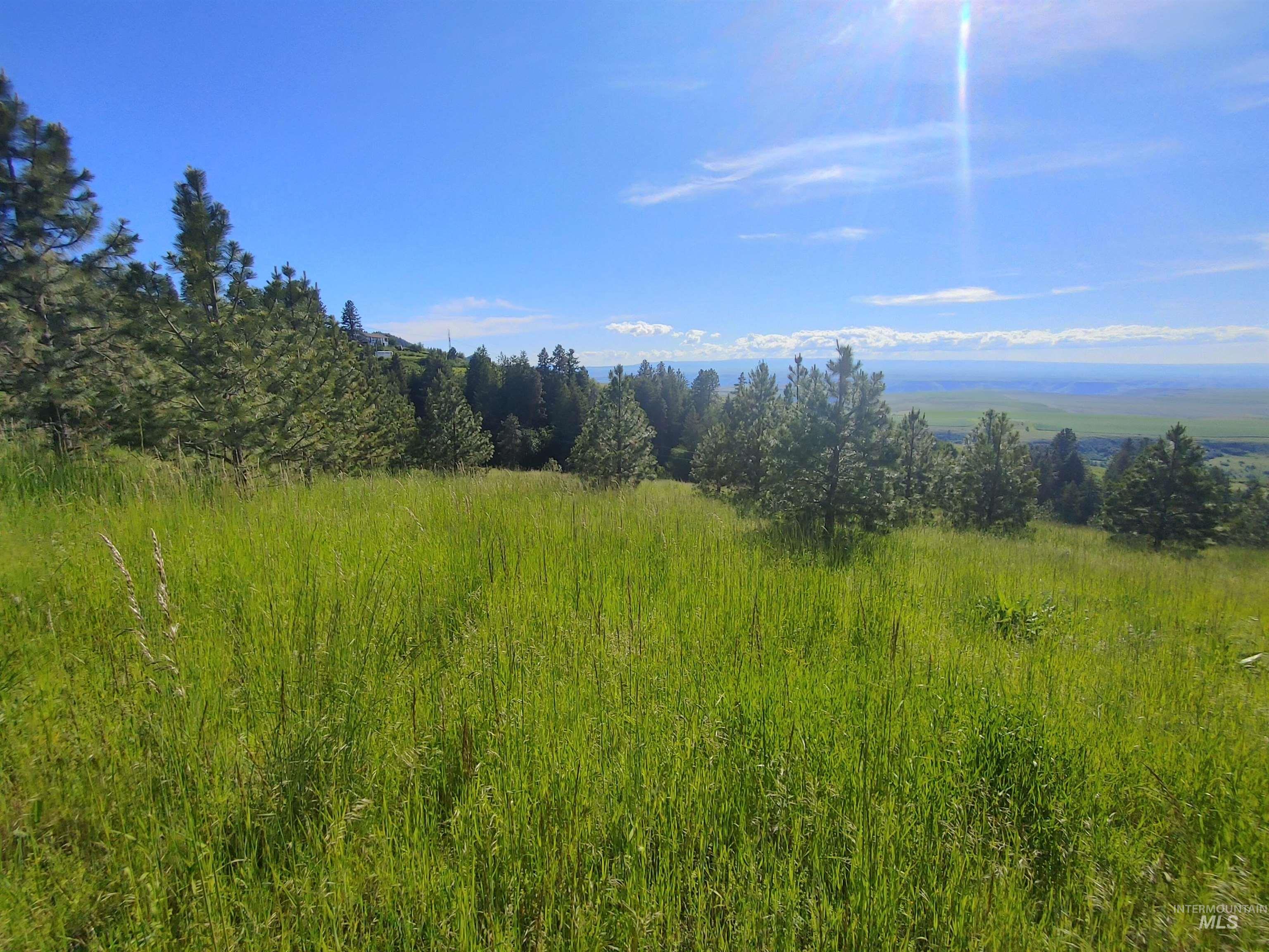 Lot B Forsman Rd, Lewiston, Idaho 83501, Land For Sale, Price $249,700, 98961507