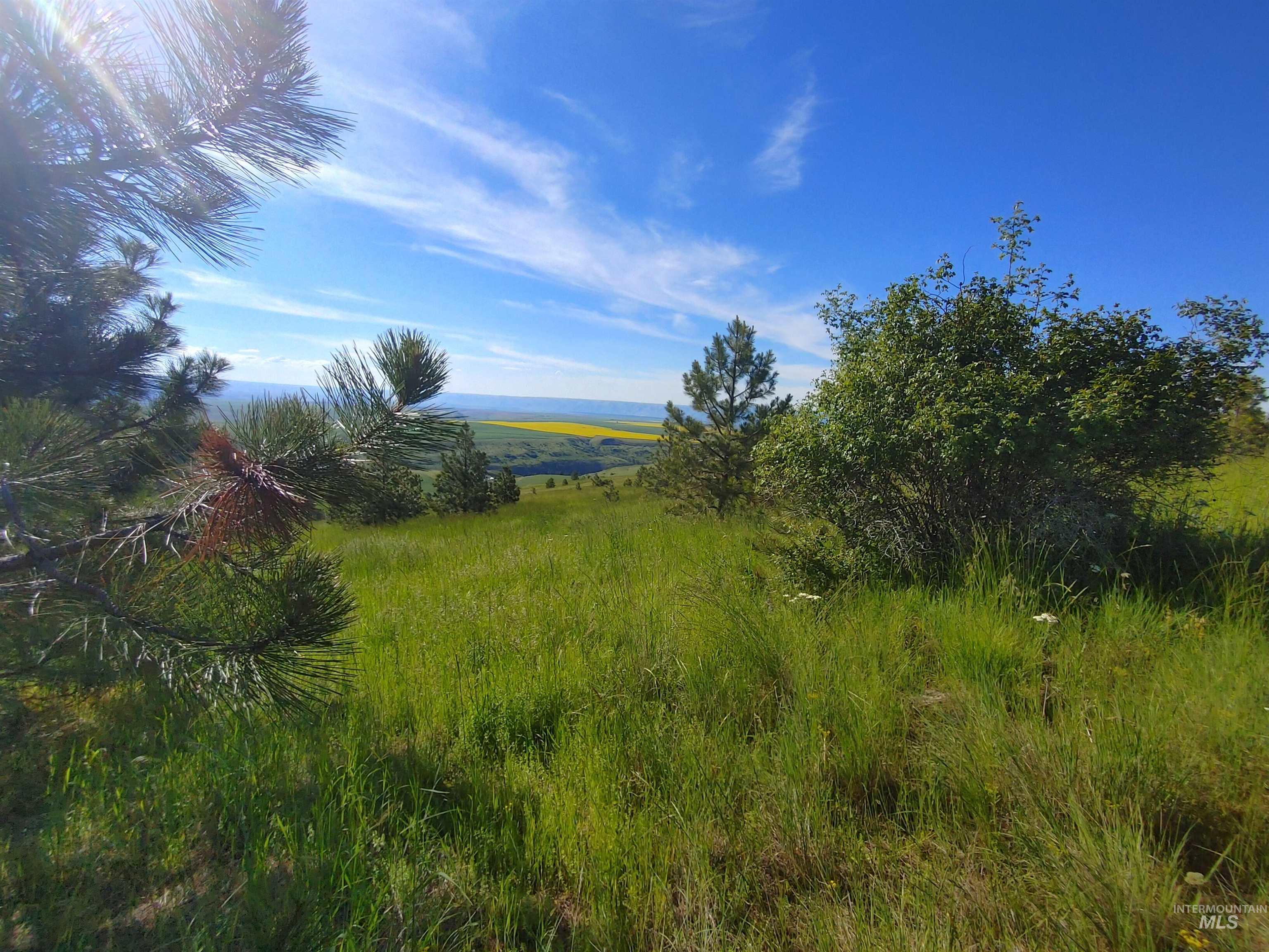 Lot B Forsman Rd, Lewiston, Idaho 83501, Land For Sale, Price $249,700, 98961507