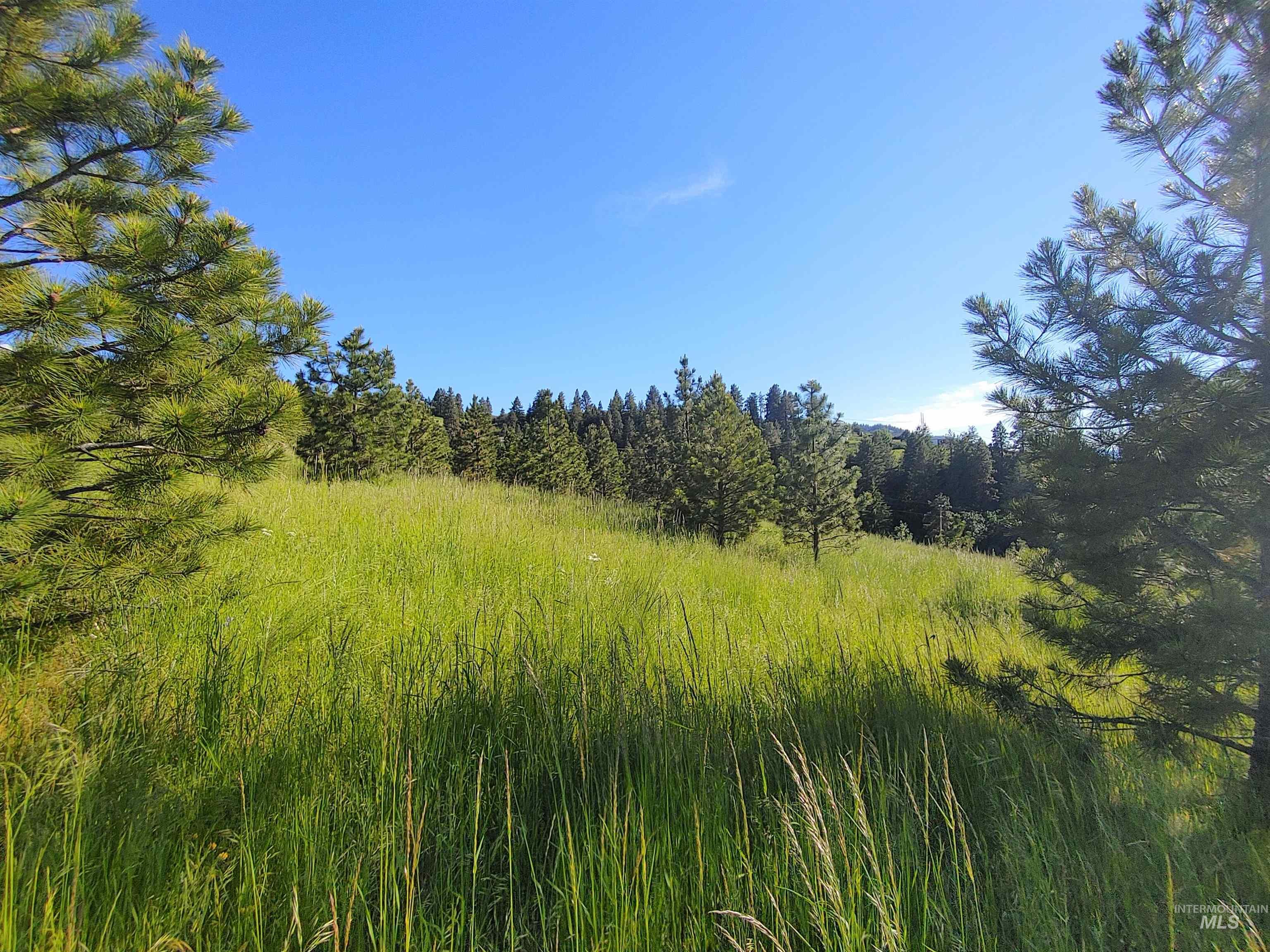 Lot B Forsman Rd, Lewiston, Idaho 83501, Land For Sale, Price $249,700, 98961507