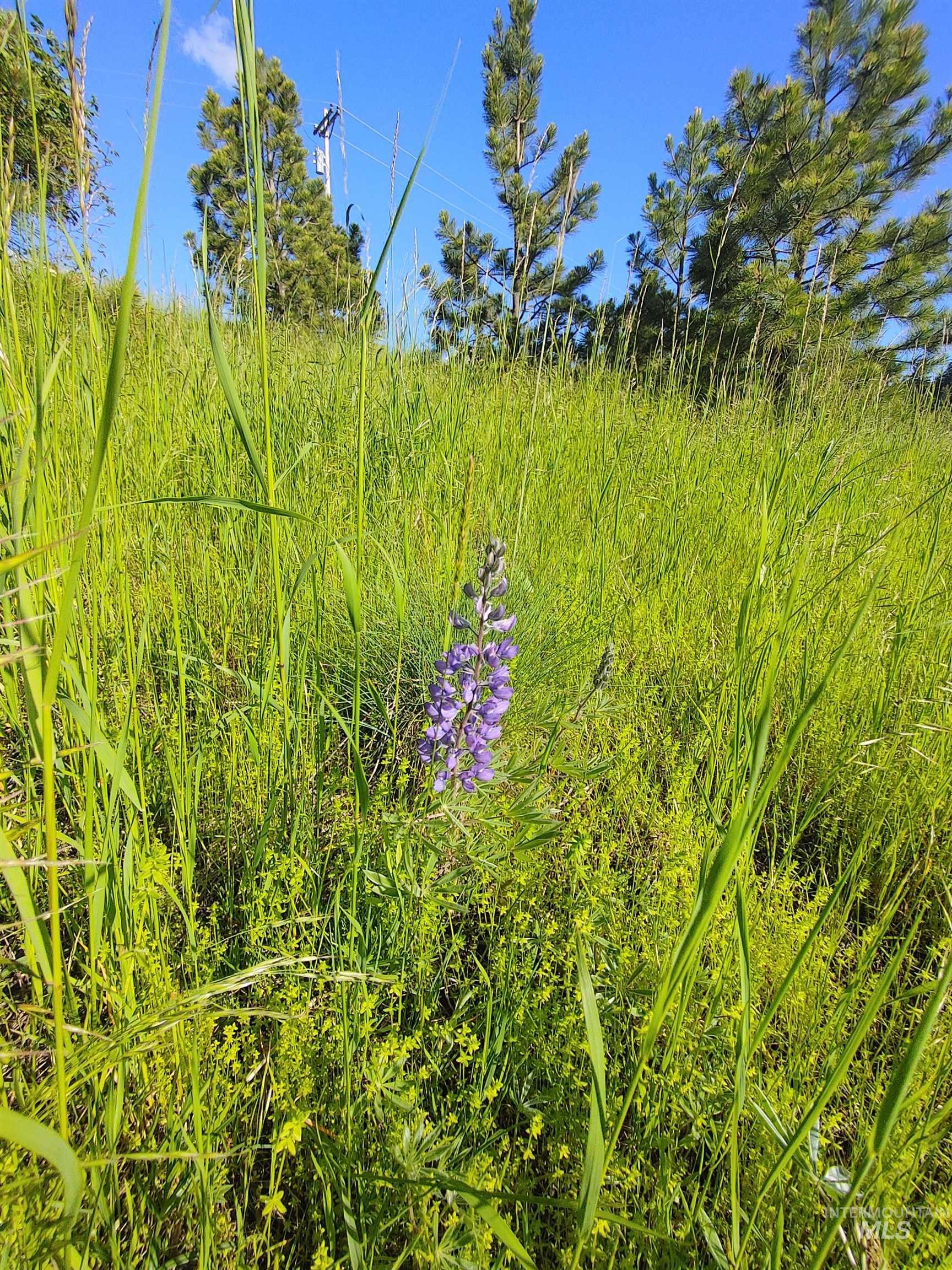 Lot B Forsman Rd, Lewiston, Idaho 83501, Land For Sale, Price $249,700, 98961507