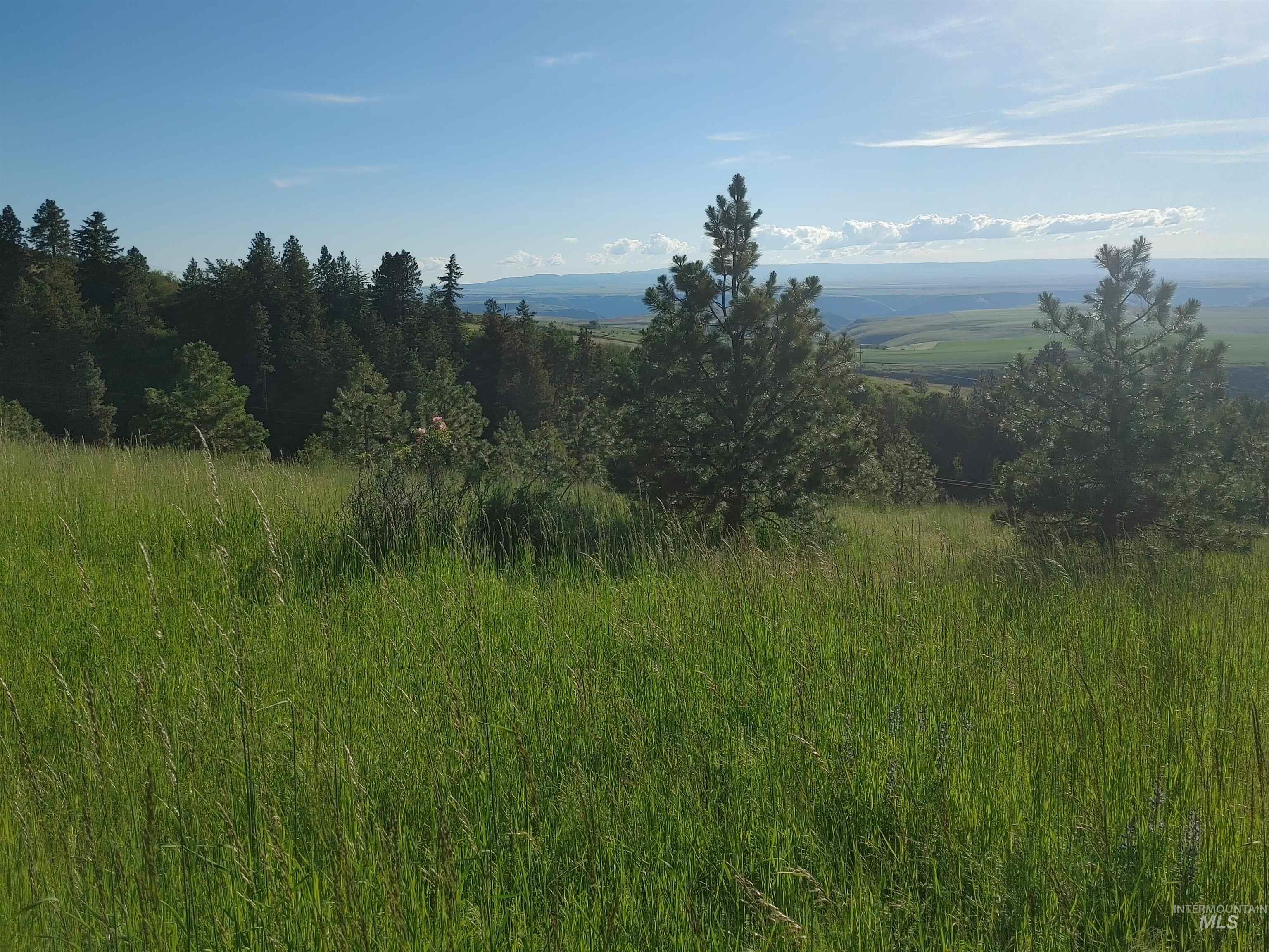 Lot B Forsman Rd, Lewiston, Idaho 83501, Land For Sale, Price $249,700, 98961507