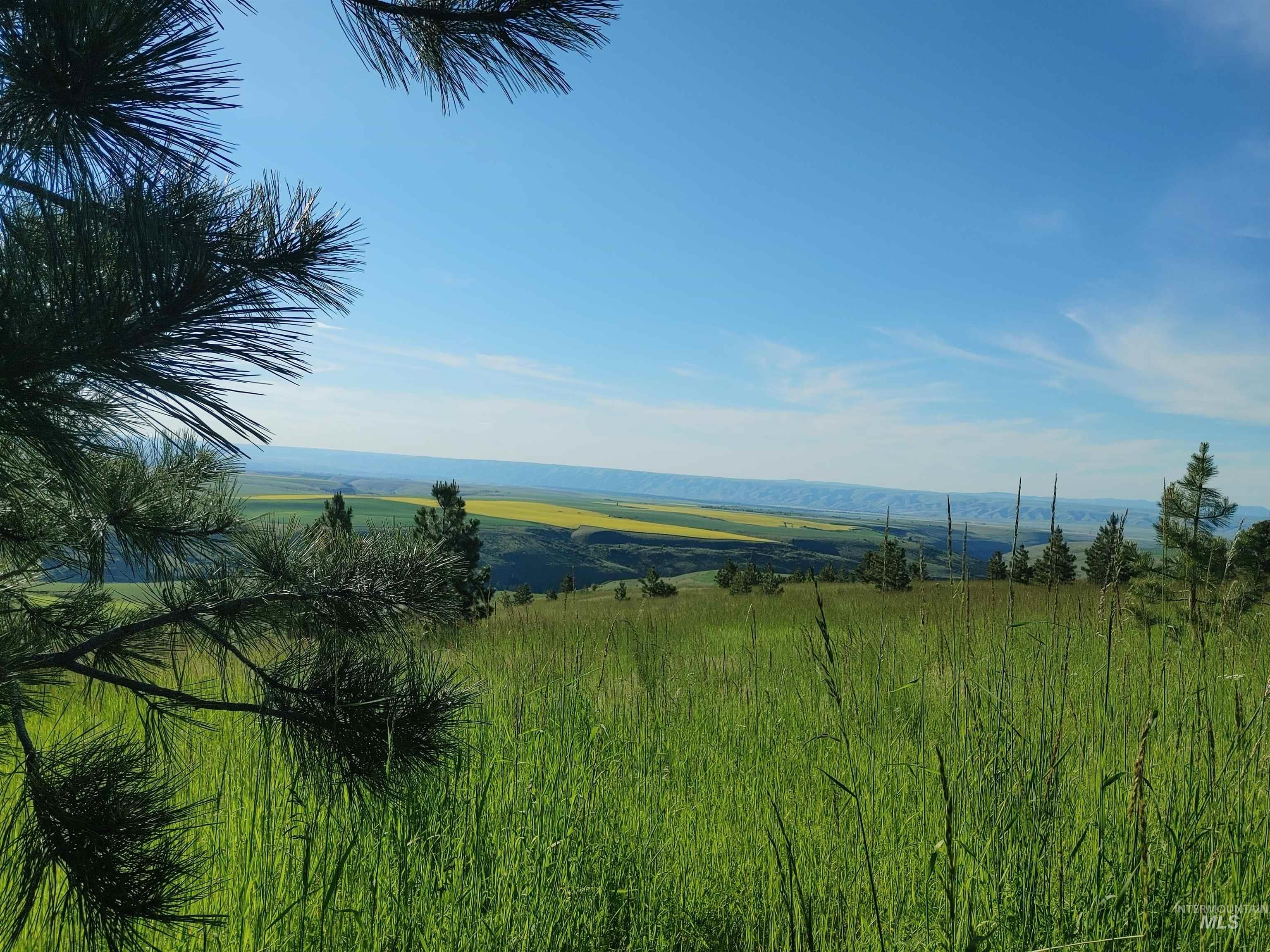 Lot B Forsman Rd, Lewiston, Idaho 83501, Land For Sale, Price $249,700, 98961507