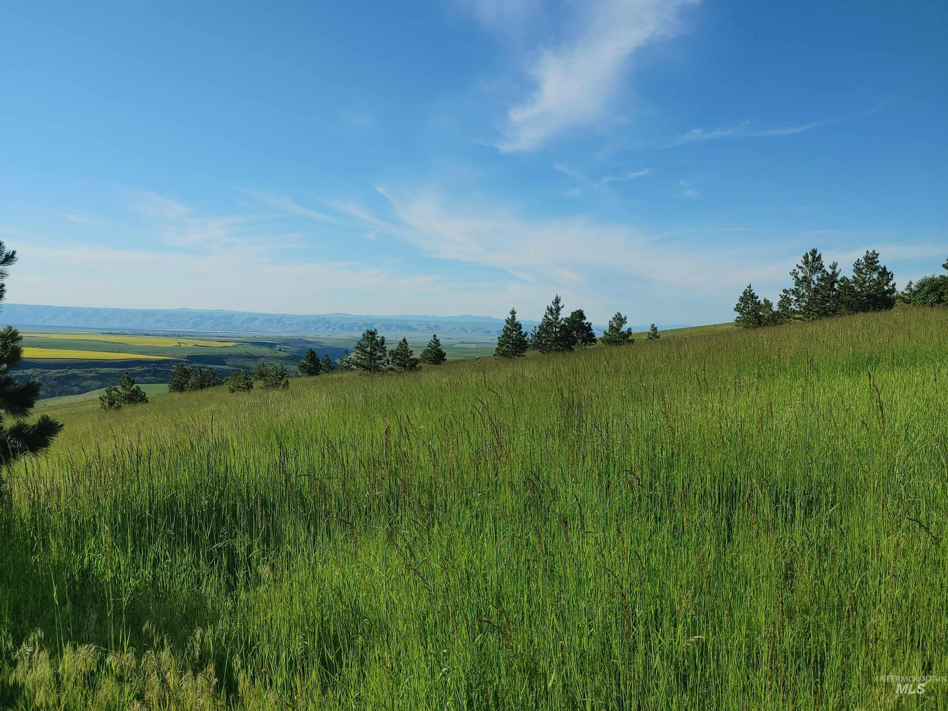 Lot B Forsman Rd, Lewiston, Idaho 83501, Land For Sale, Price $249,700, 98961507
