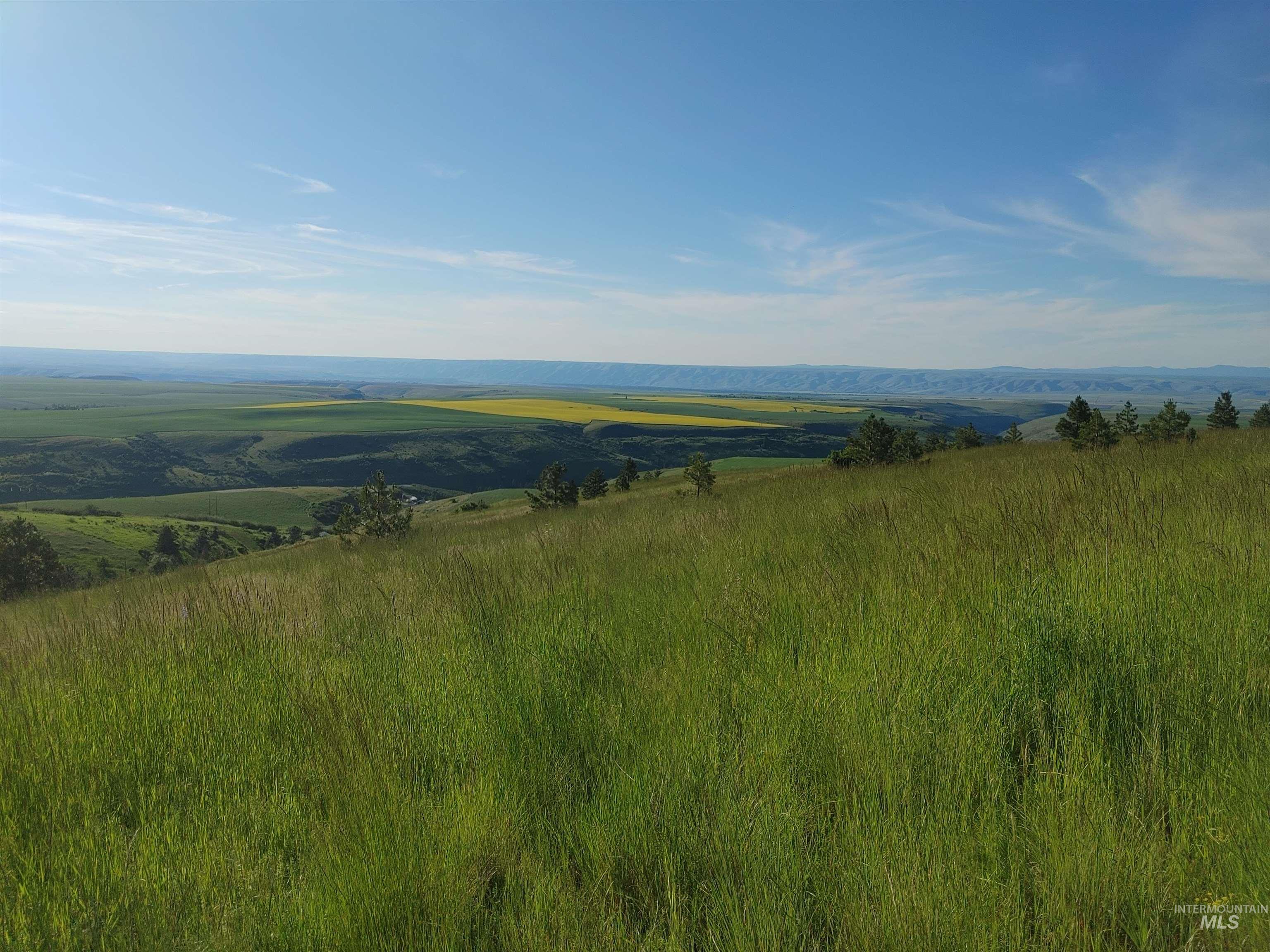 Lot B Forsman Rd, Lewiston, Idaho 83501, Land For Sale, Price $249,700, 98961507