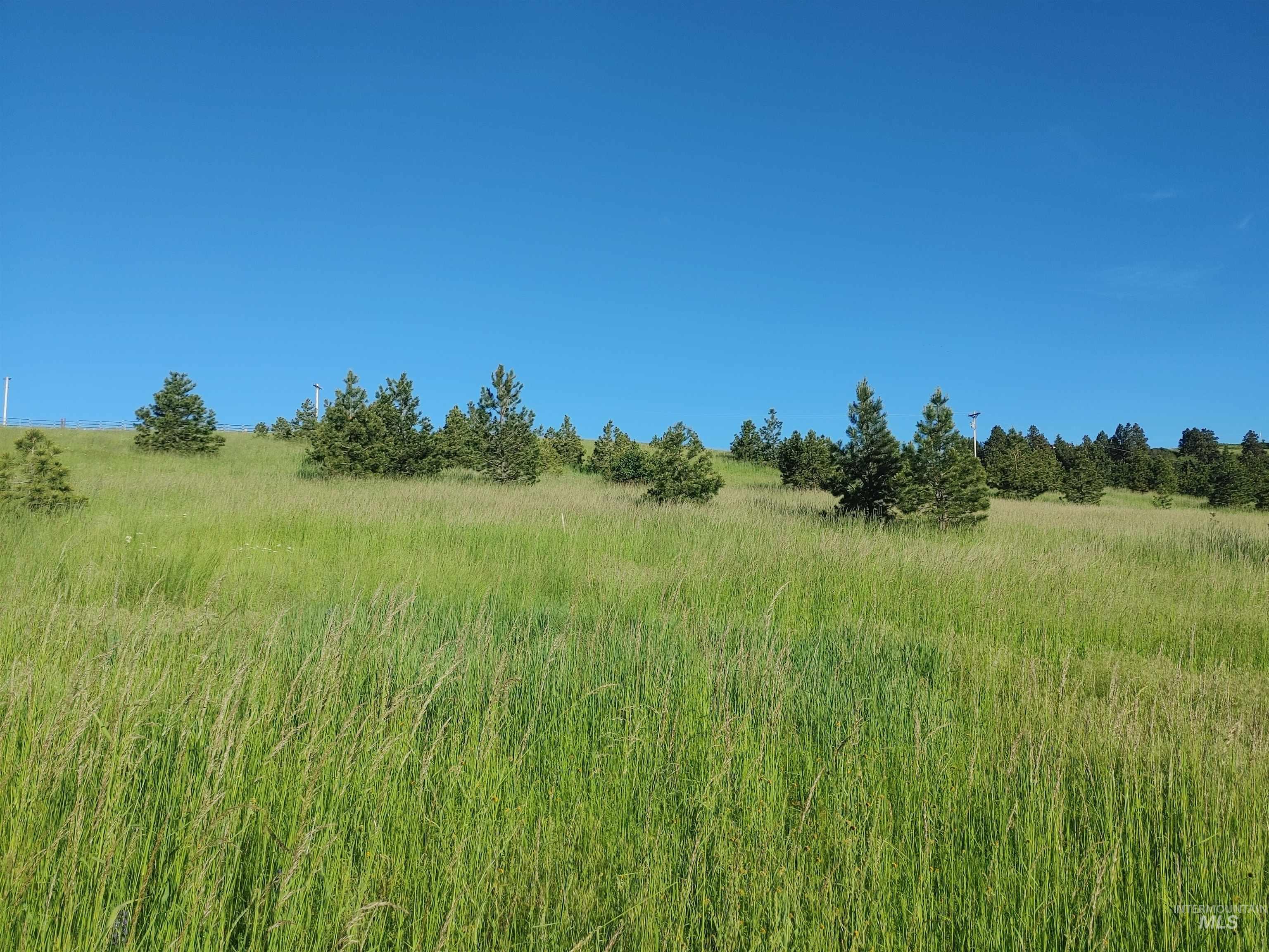 Lot B Forsman Rd, Lewiston, Idaho 83501, Land For Sale, Price $249,700, 98961507