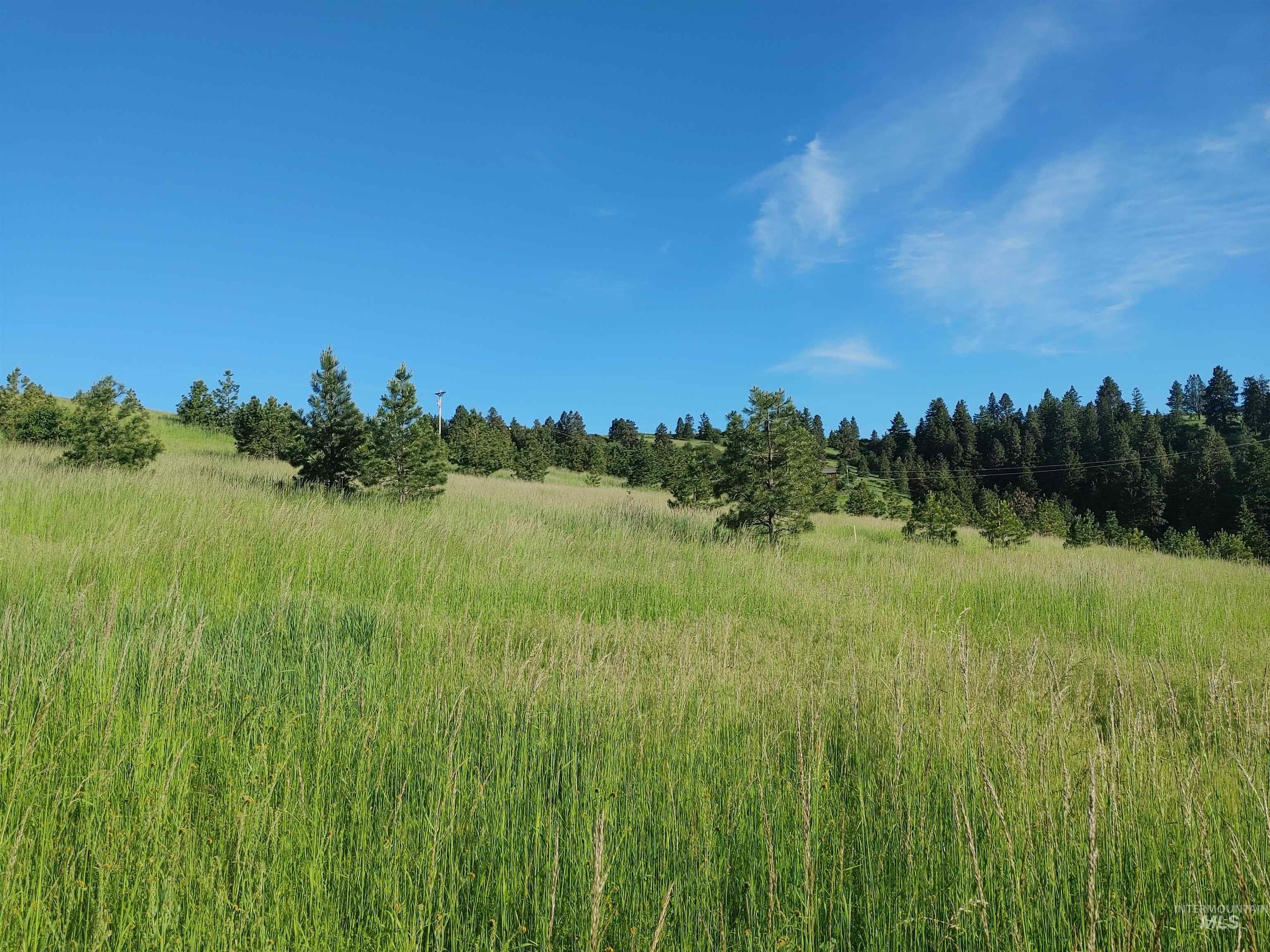 Lot B Forsman Rd, Lewiston, Idaho 83501, Land For Sale, Price $249,700, 98961507