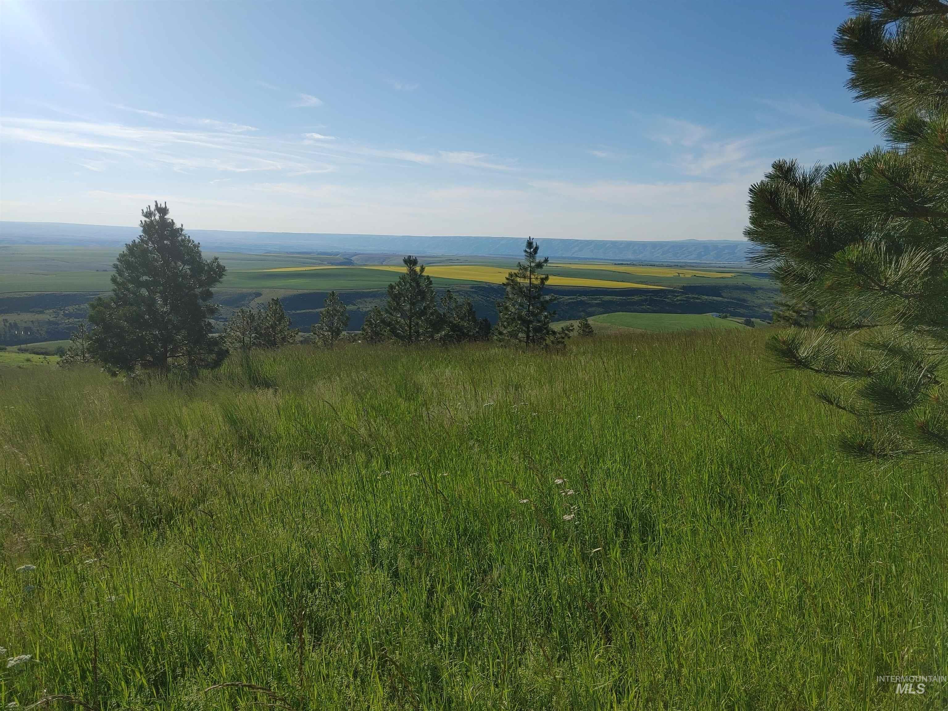 Lot B Forsman Rd, Lewiston, Idaho 83501, Land For Sale, Price $249,700, 98961507