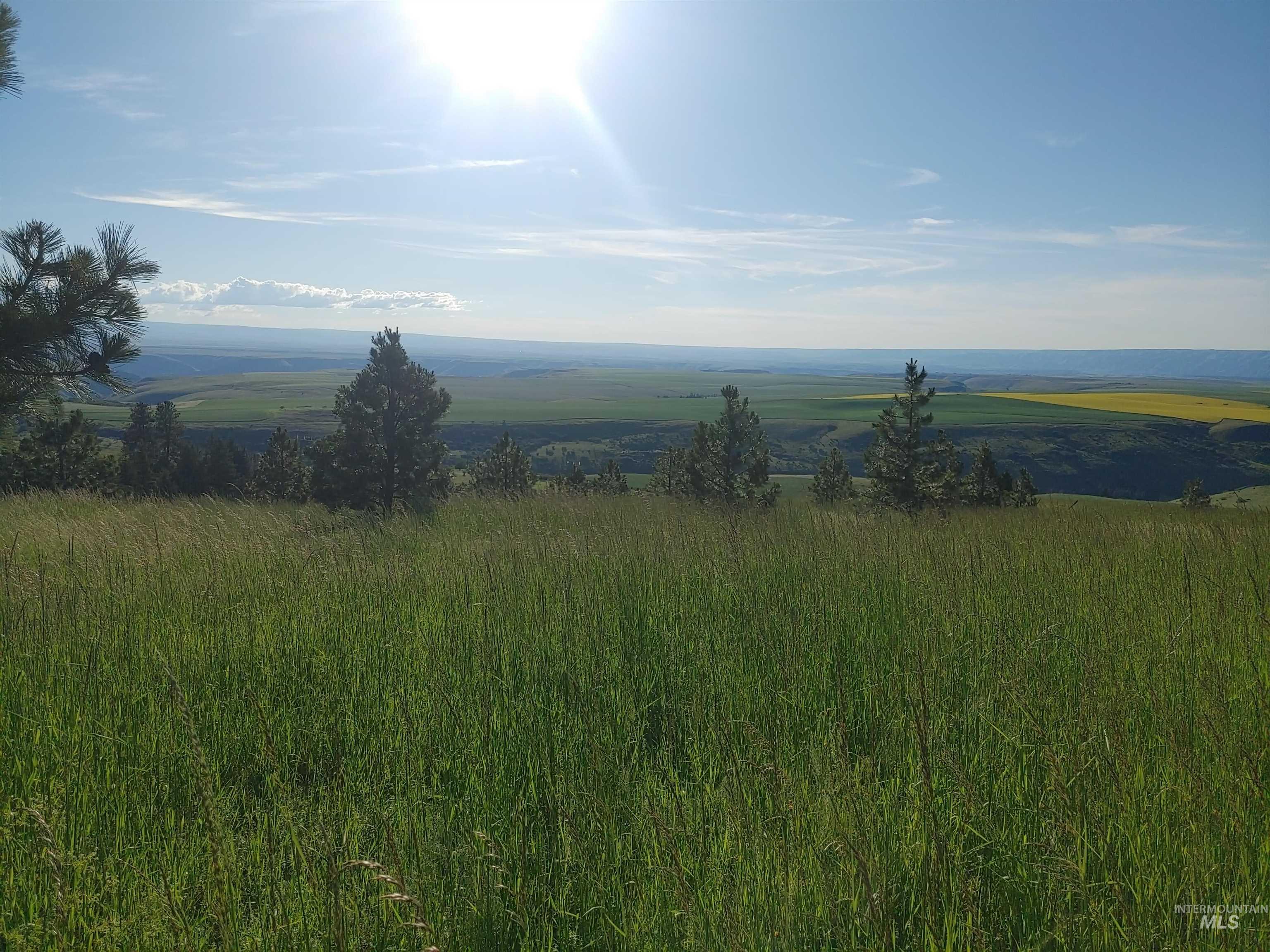 Lot B Forsman Rd, Lewiston, Idaho 83501, Land For Sale, Price $249,700, 98961507