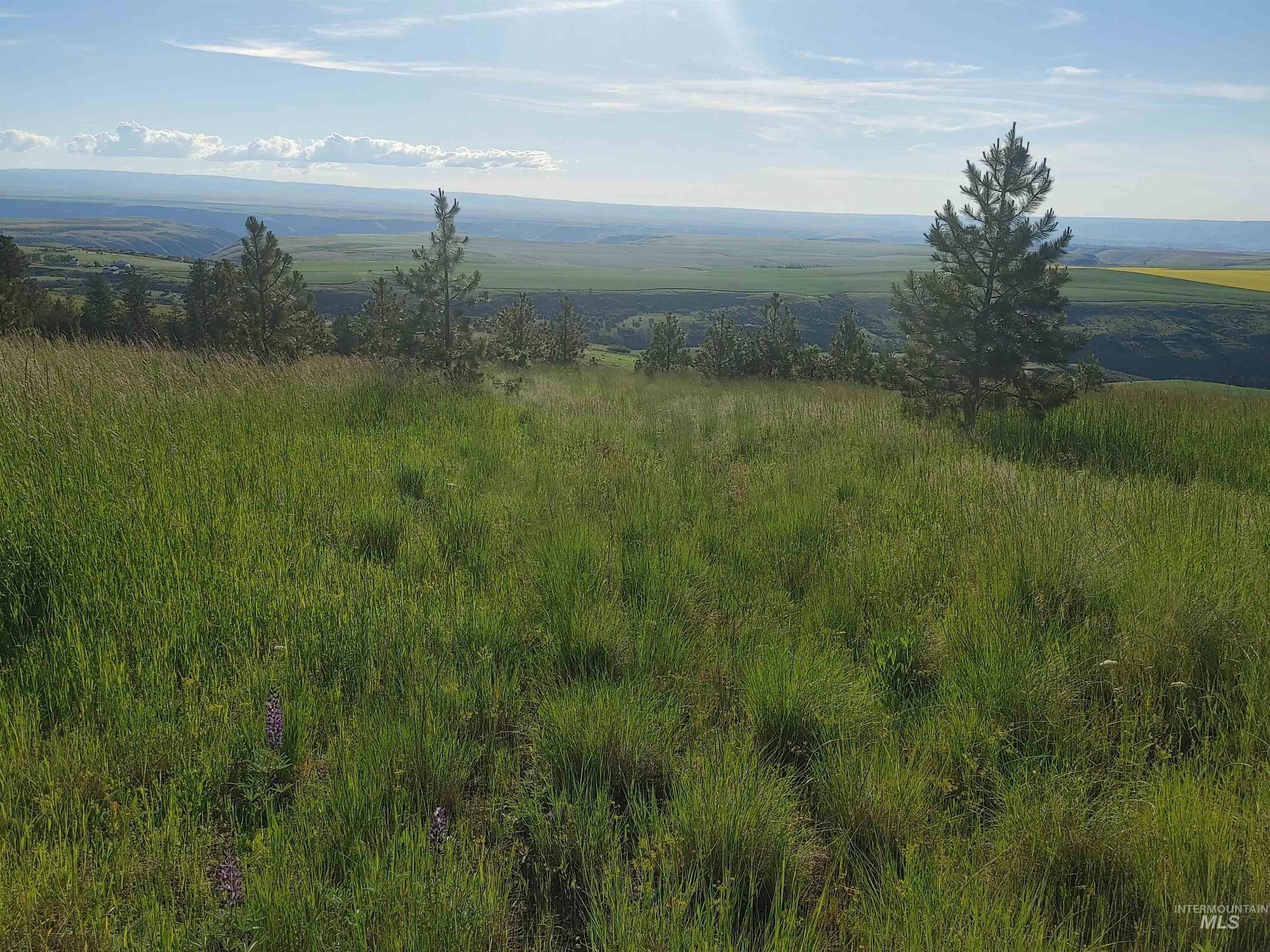 Lot B Forsman Rd, Lewiston, Idaho 83501, Land For Sale, Price $249,700, 98961507