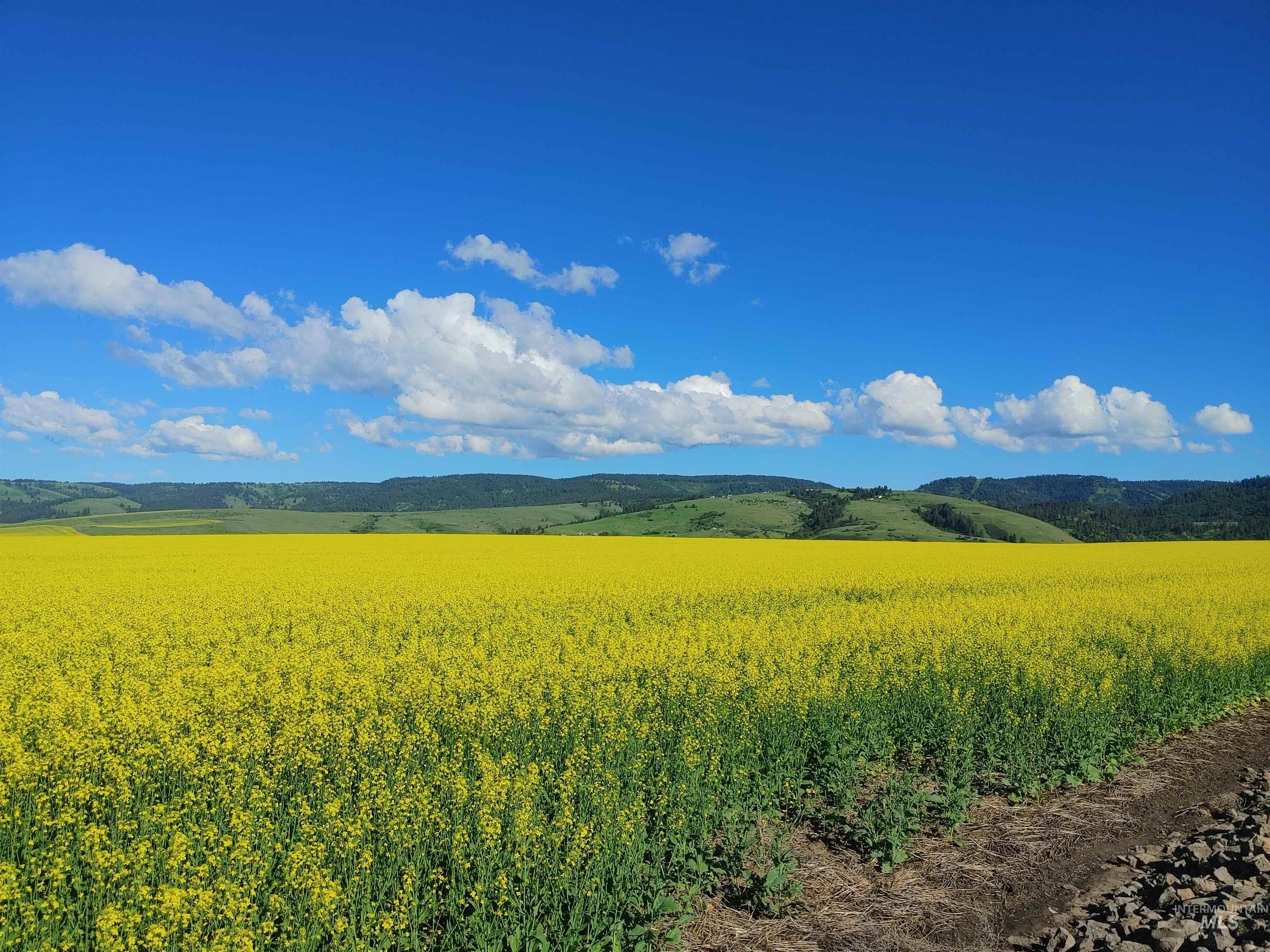 Lot B Forsman Rd, Lewiston, Idaho 83501, Land For Sale, Price $249,700, 98961507