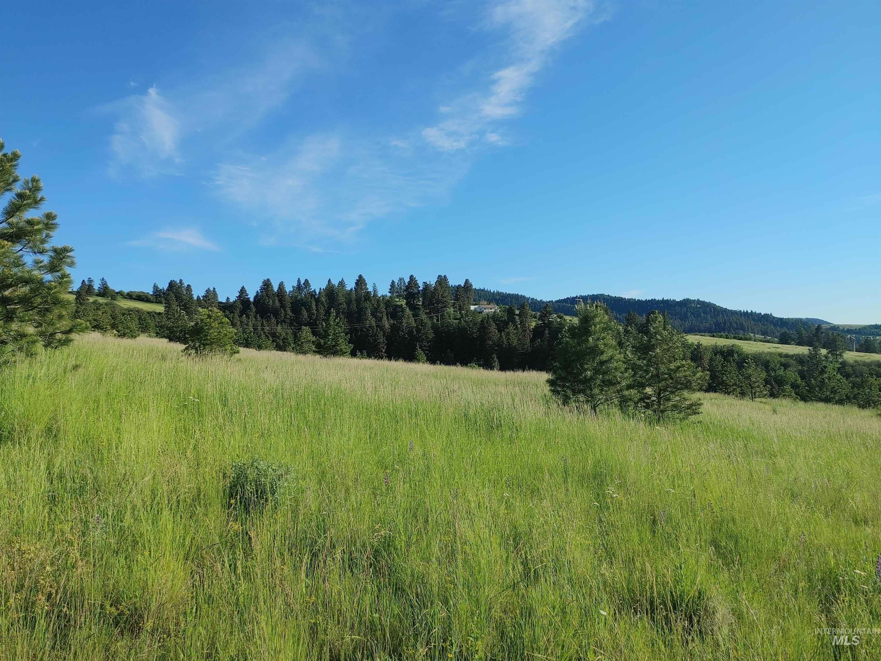 Lot B Forsman Rd, Lewiston, Idaho 83501, Land For Sale, Price $249,700, 98961507