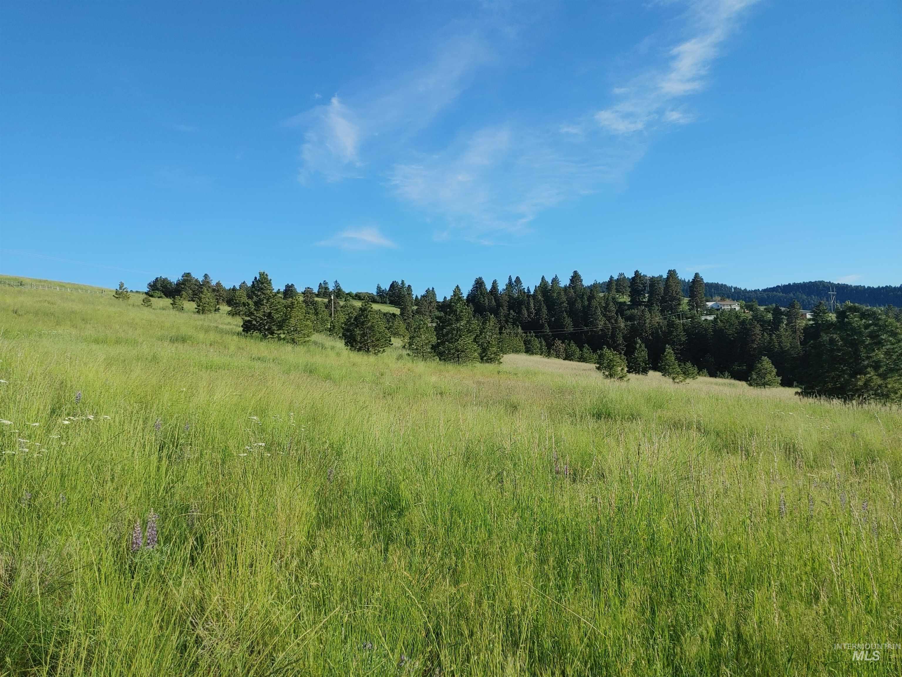 Lot B Forsman Rd, Lewiston, Idaho 83501, Land For Sale, Price $249,700, 98961507