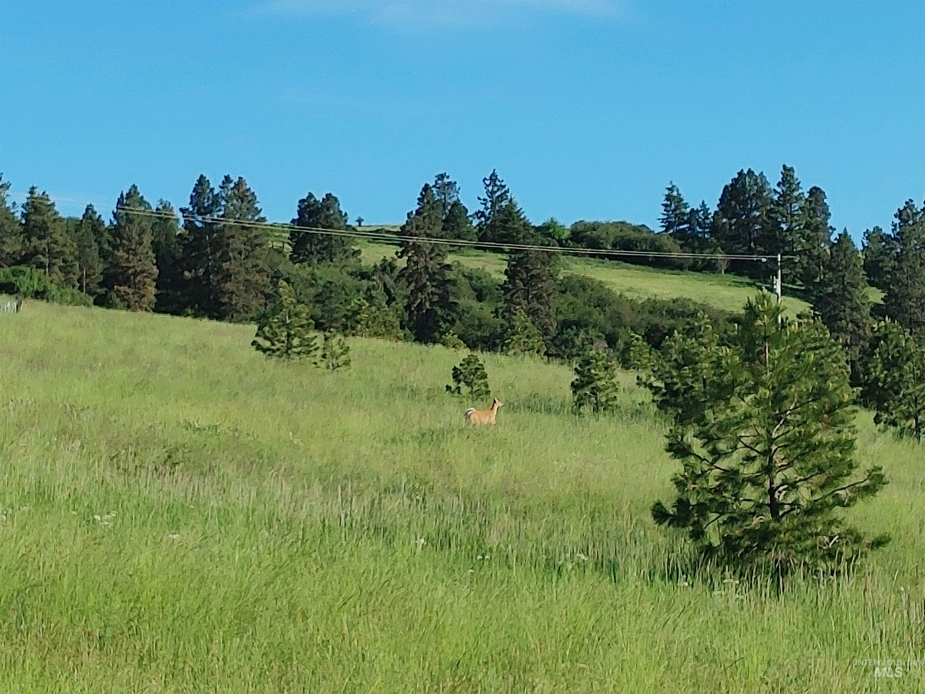 Lot B Forsman Rd, Lewiston, Idaho 83501, Land For Sale, Price $249,700, 98961507