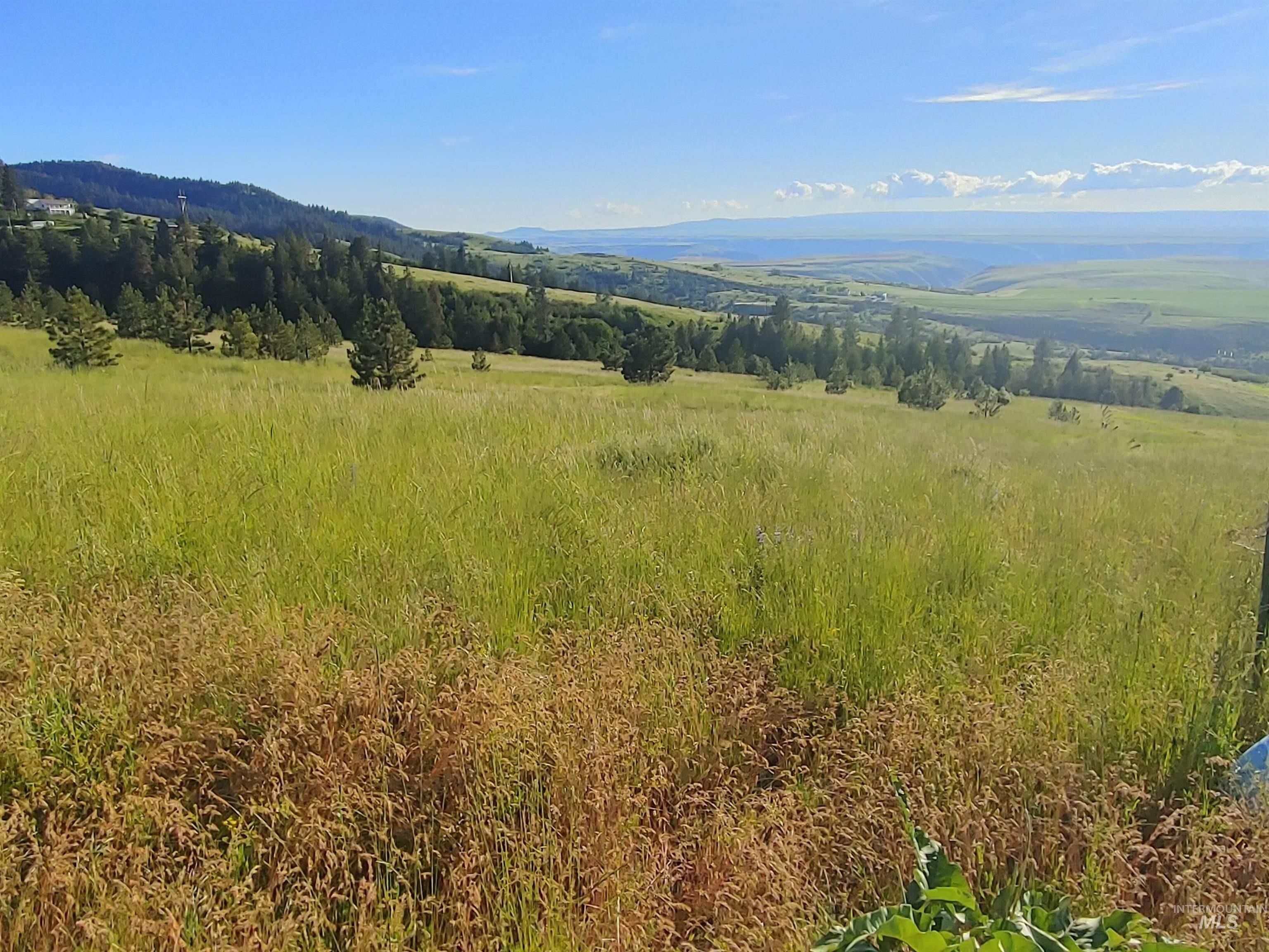 Lot B Forsman Rd, Lewiston, Idaho 83501, Land For Sale, Price $249,700, 98961507