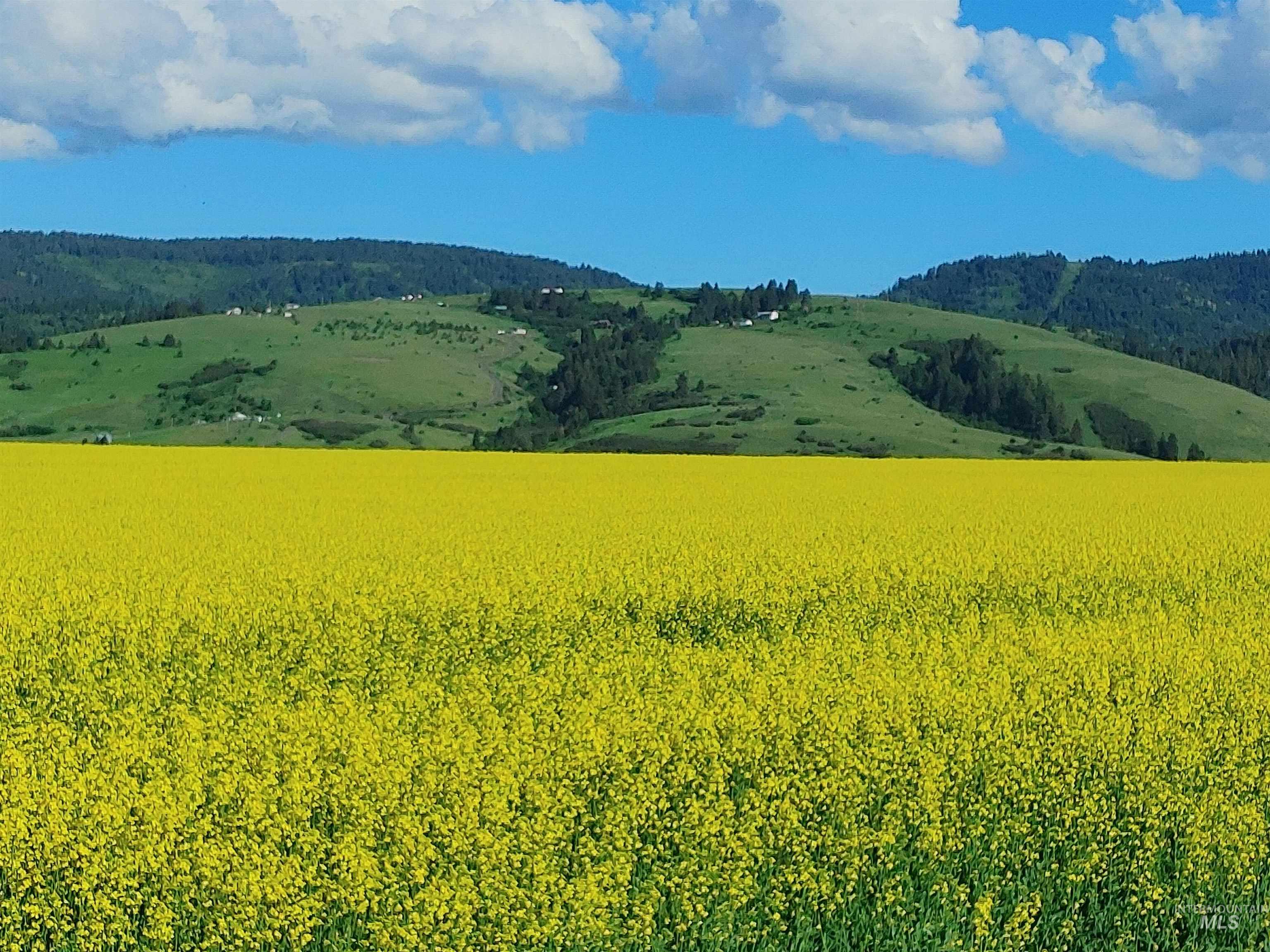 Lot B Forsman Rd, Lewiston, Idaho 83501, Land For Sale, Price $249,700, 98961507