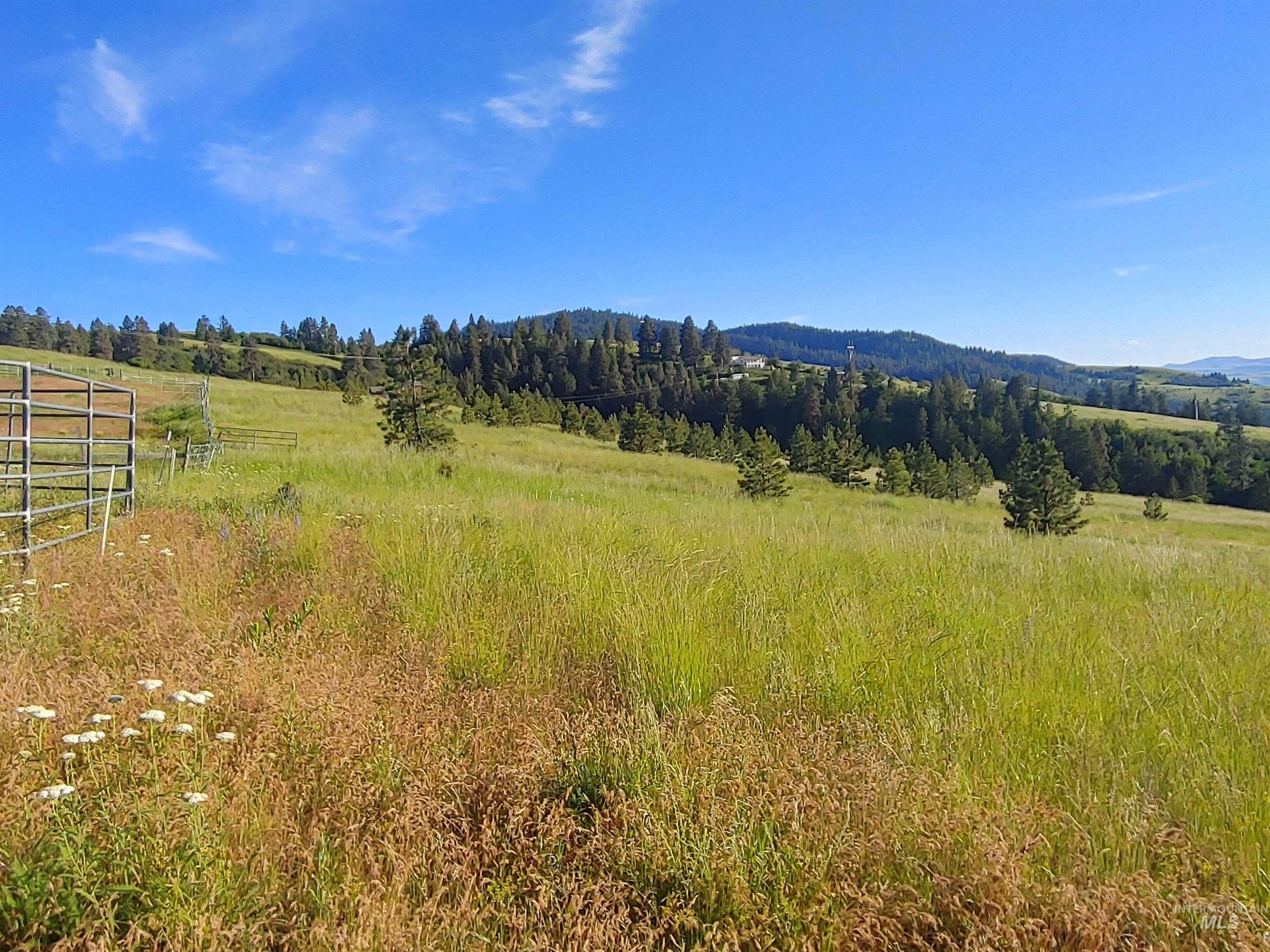 Lot B Forsman Rd, Lewiston, Idaho 83501, Land For Sale, Price $249,700, 98961507