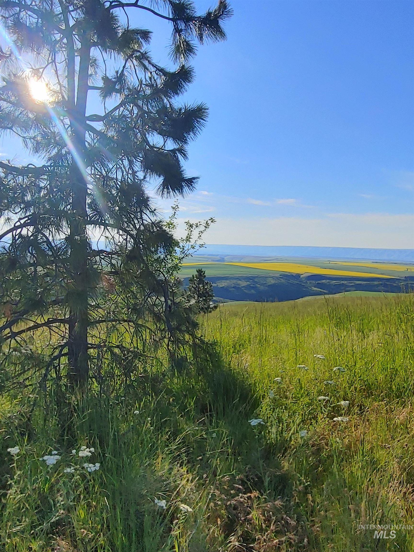 Lot B Forsman Rd, Lewiston, Idaho 83501, Land For Sale, Price $249,700, 98961507