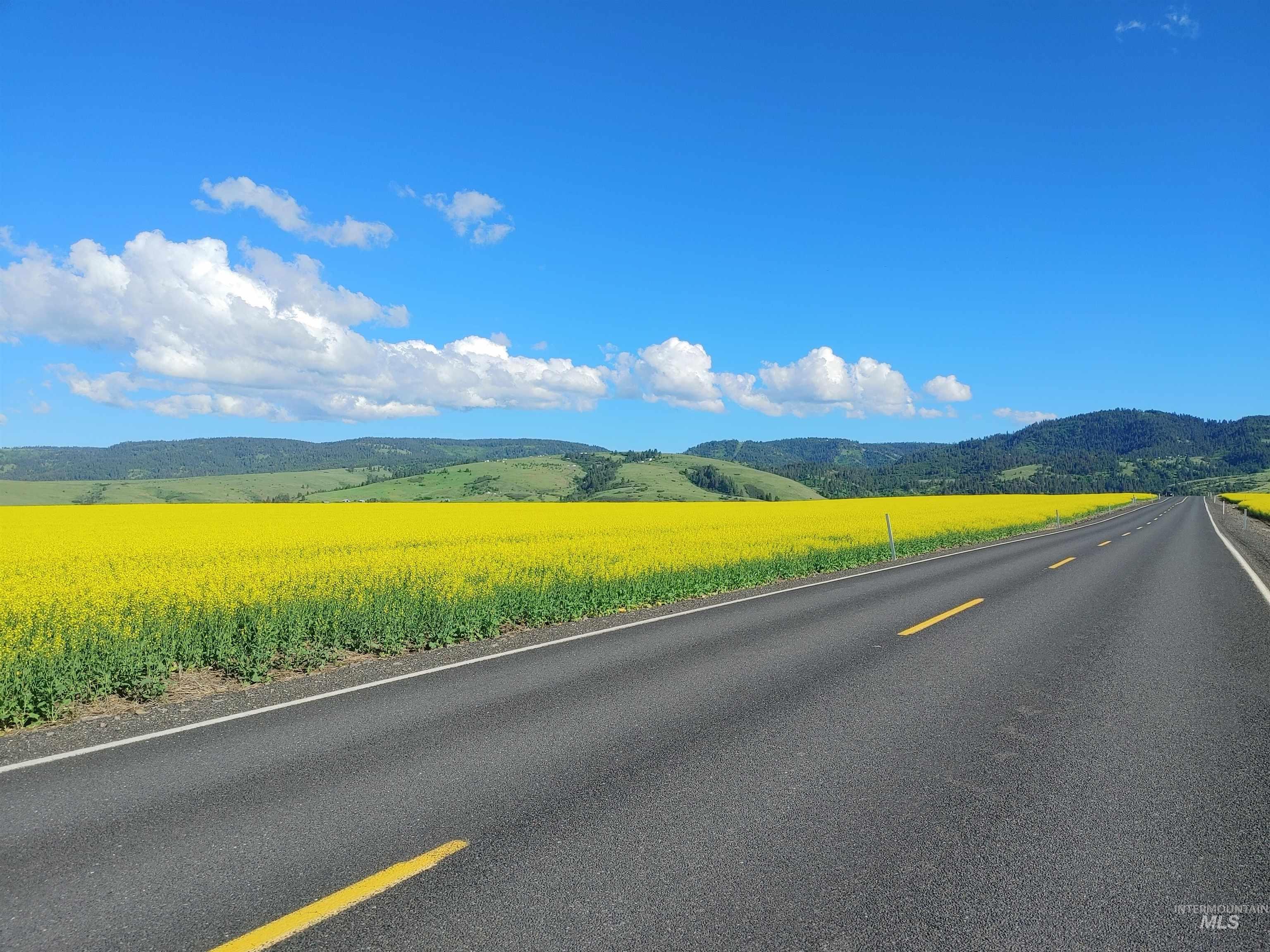 Lot B Forsman Rd, Lewiston, Idaho 83501, Land For Sale, Price $249,700, 98961507