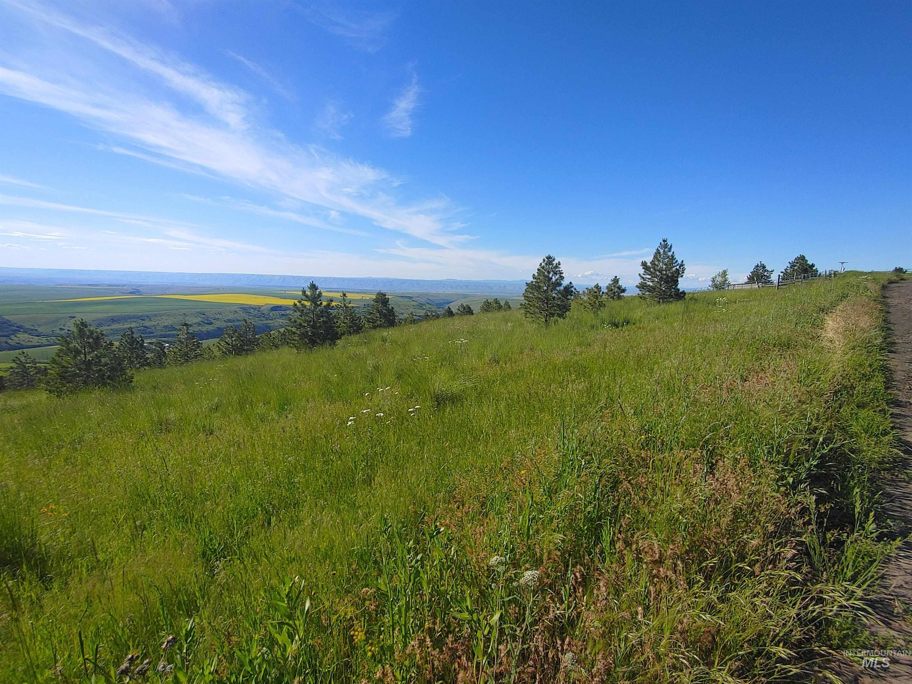 Lot B Forsman Rd, Lewiston, Idaho 83501, Land For Sale, Price $249,700, 98961507