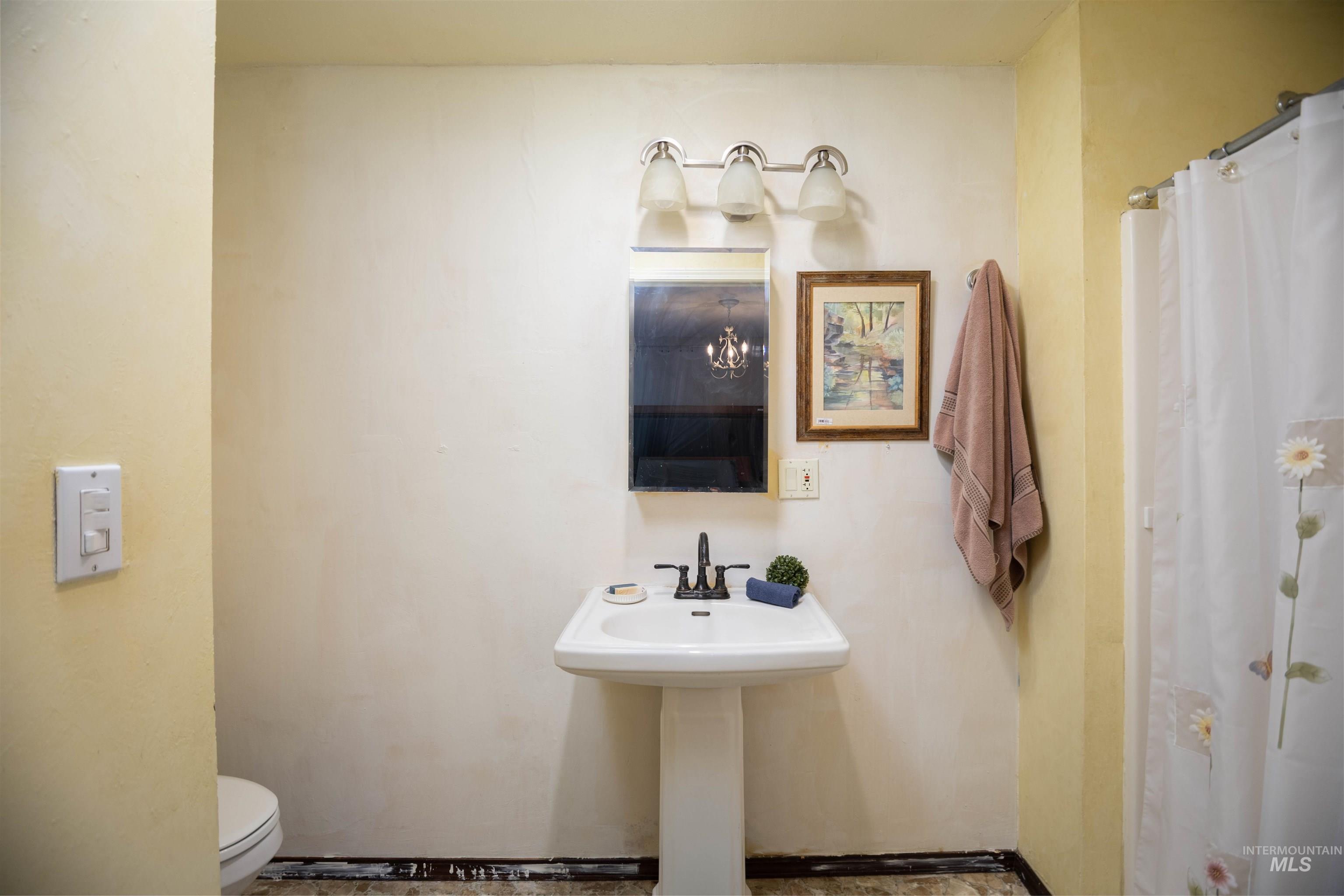Bathroom with toilet and a shower with curtain